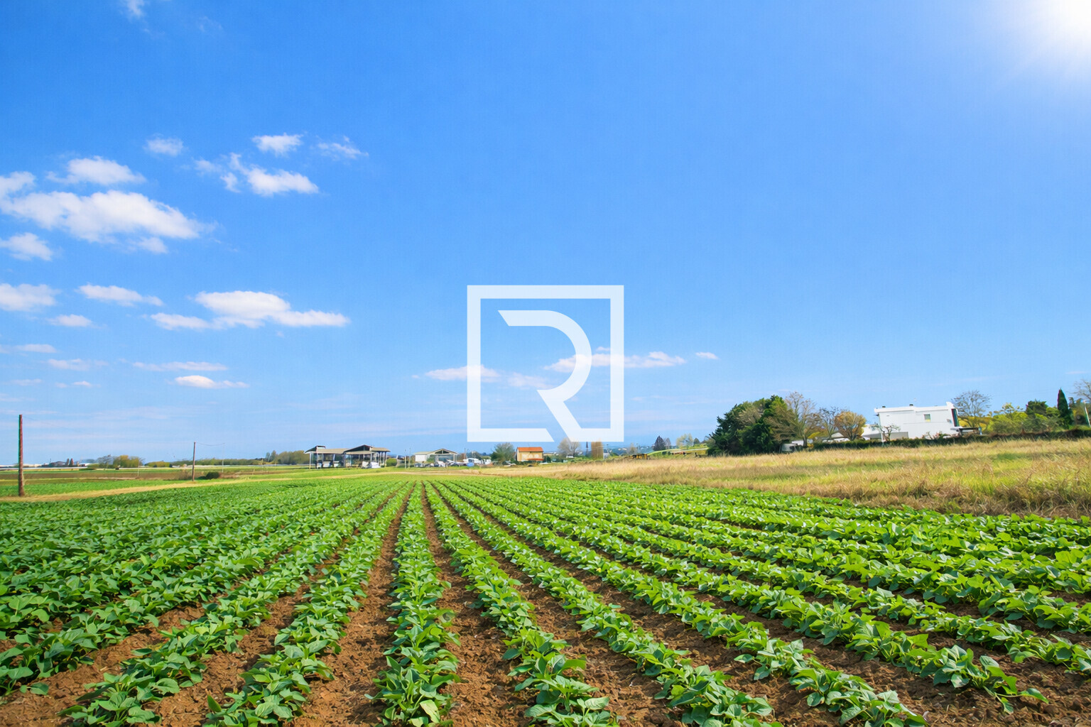 3e0e4fb4-cb92-45d5-bfb7-dcfda6973fcc