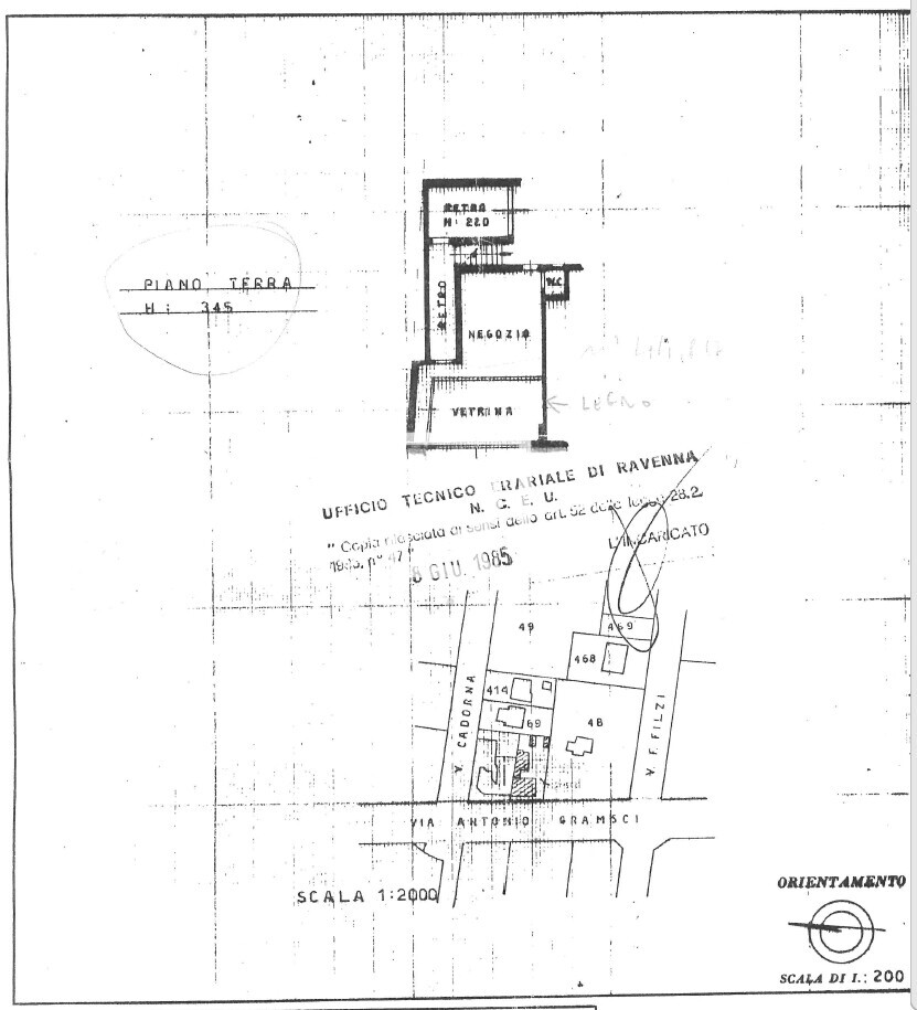 Immagine 2026-02-17 101603