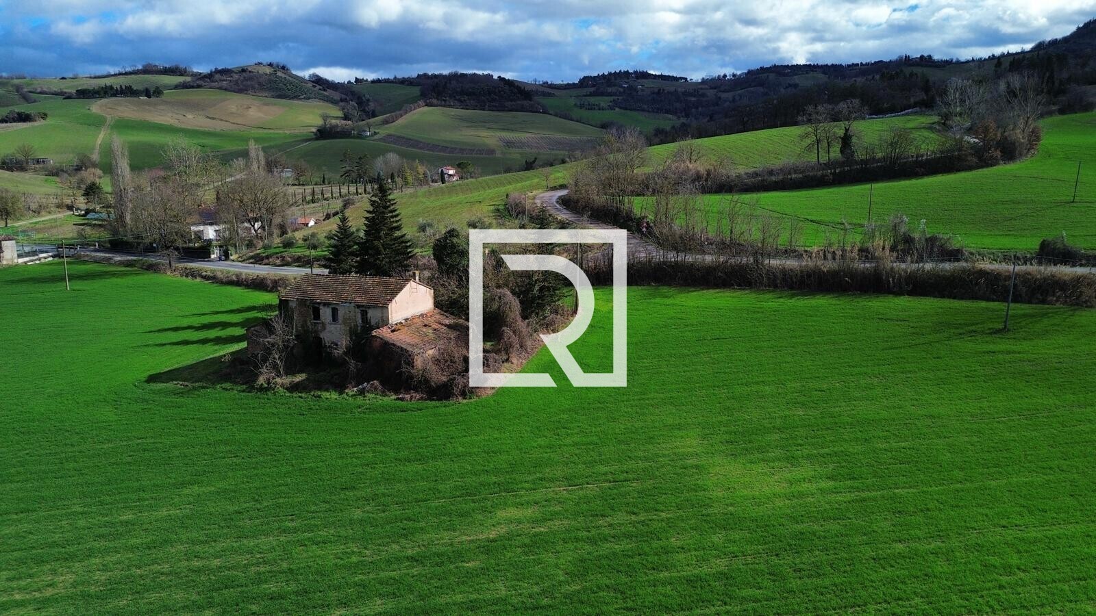 WhatsApp Image 2026-02-17 at 10.59.09 (1)