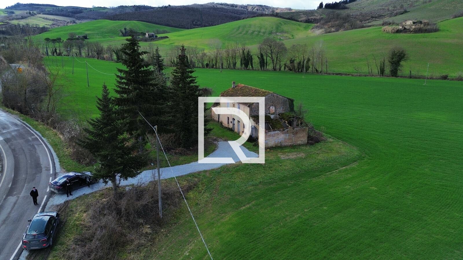 WhatsApp Image 2026-02-17 at 10.59.10 (1)