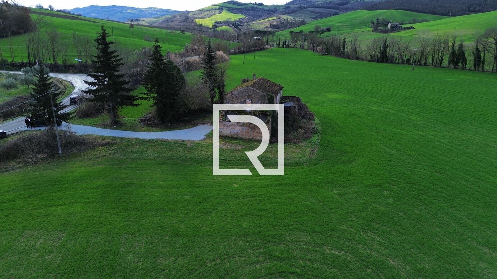 WhatsApp Image 2026-02-17 at 10.59.10