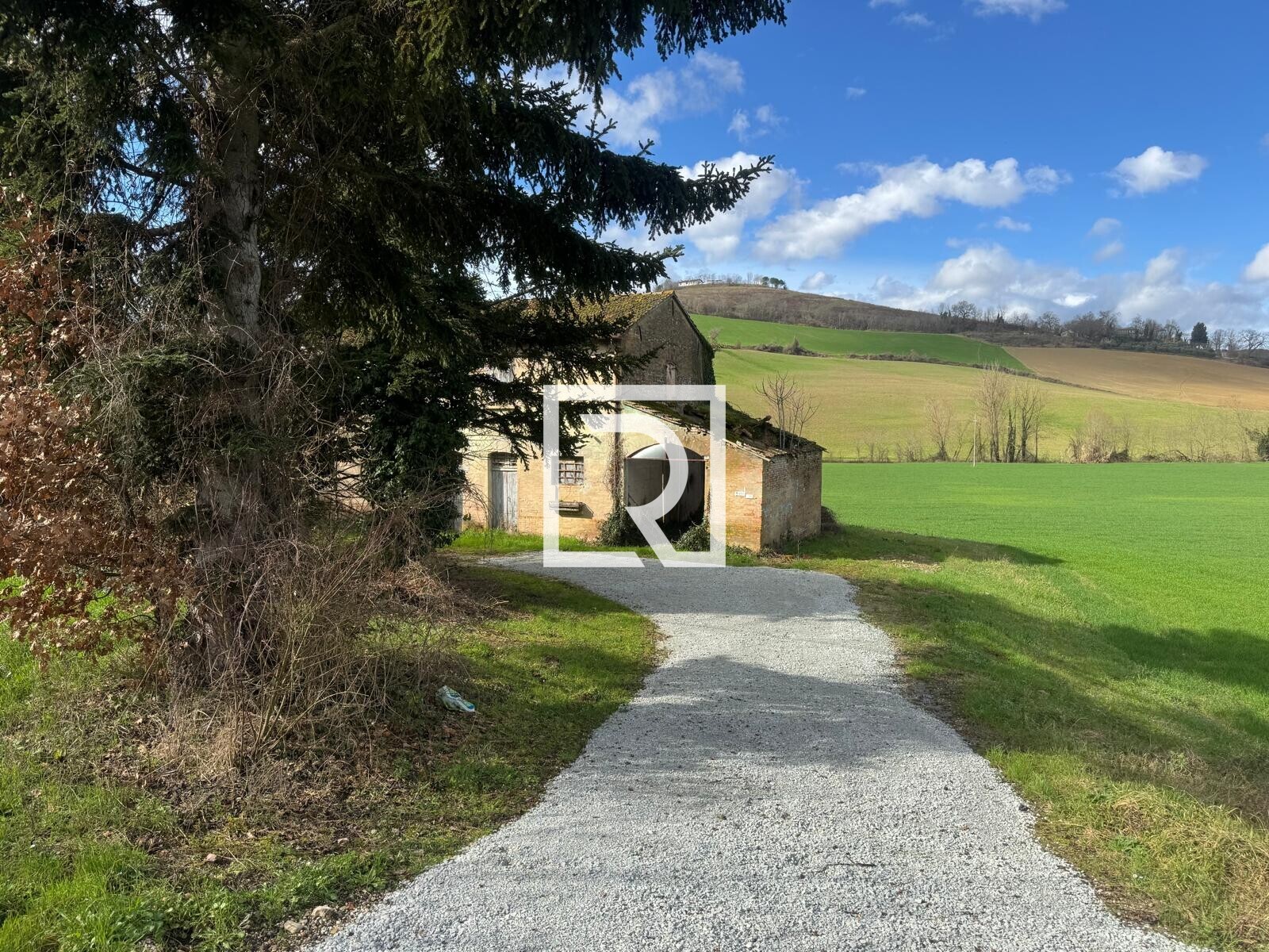 WhatsApp Image 2026-02-17 at 10.59.06