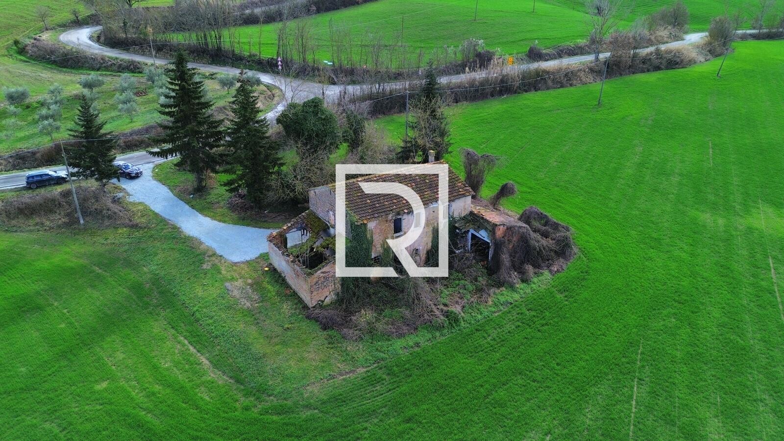 WhatsApp Image 2026-02-17 at 10.59.07 (1)