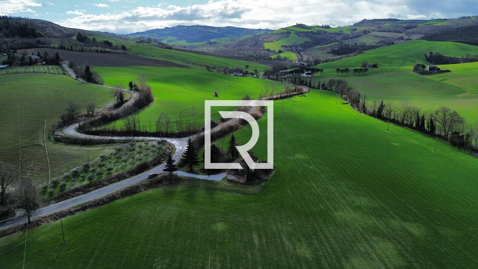 WhatsApp Image 2026-02-17 at 10.59.08 (3)