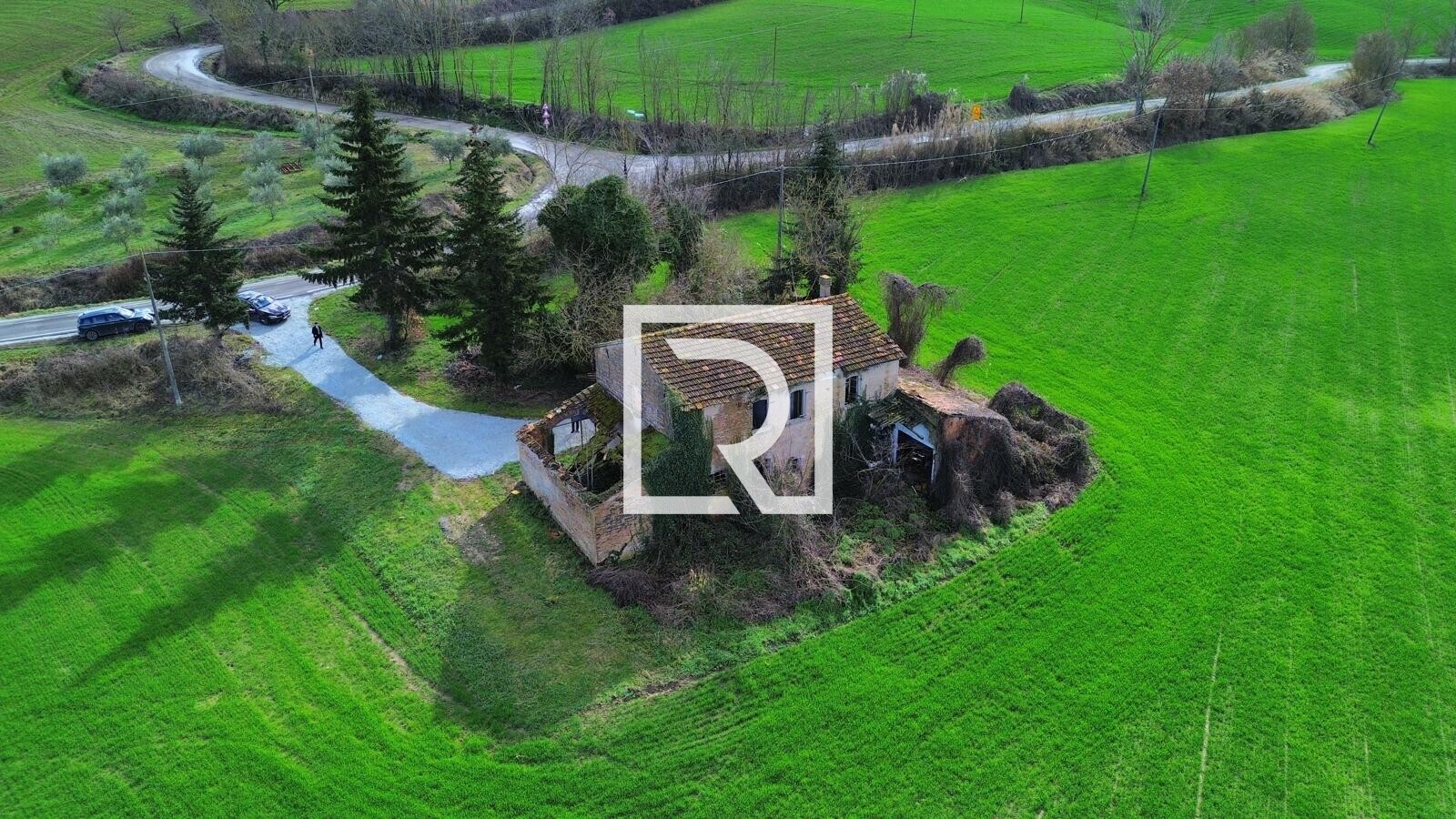 WhatsApp Image 2026-02-17 at 10.59.08