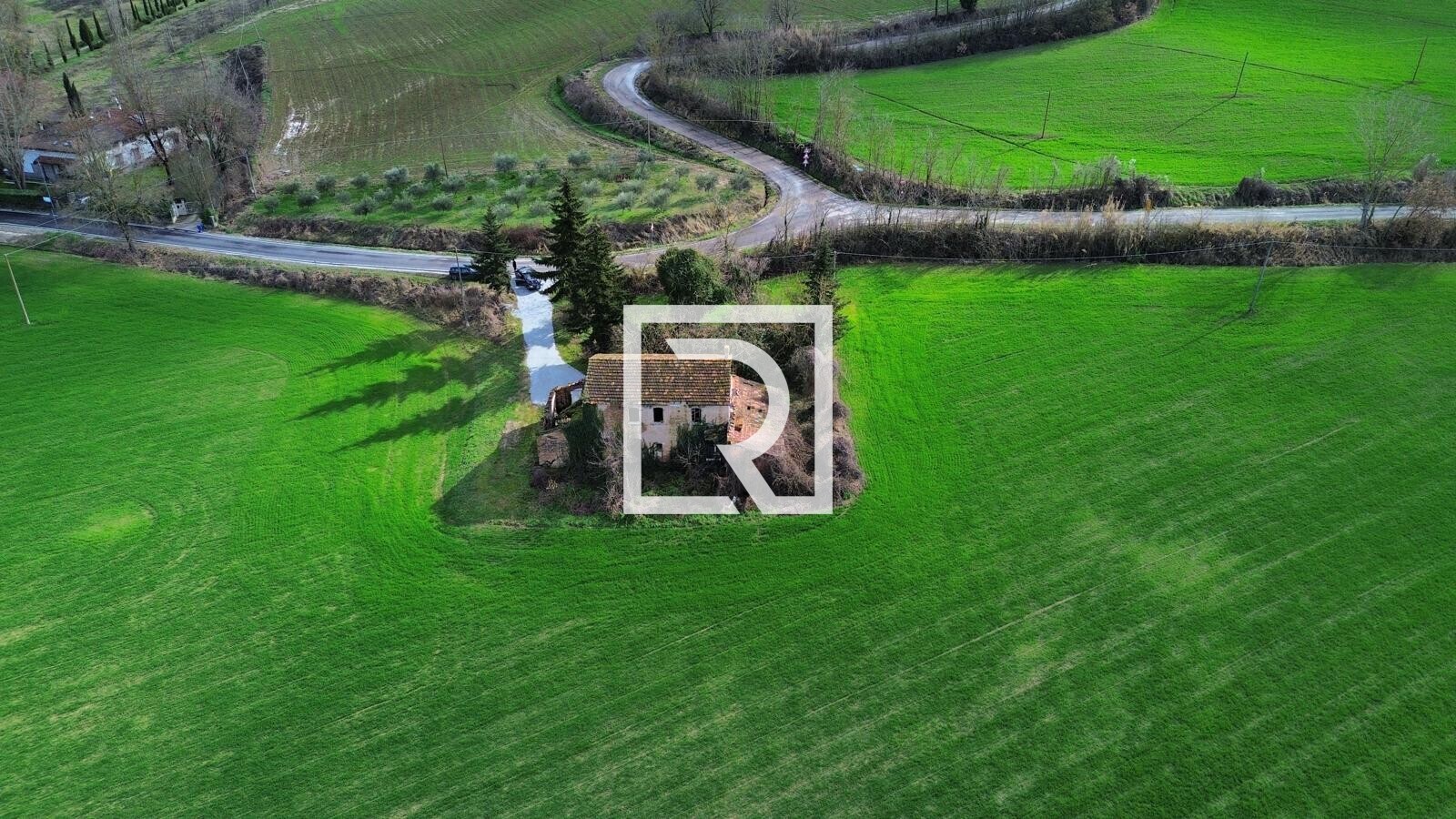 WhatsApp Image 2026-02-17 at 10.59.09 (2)