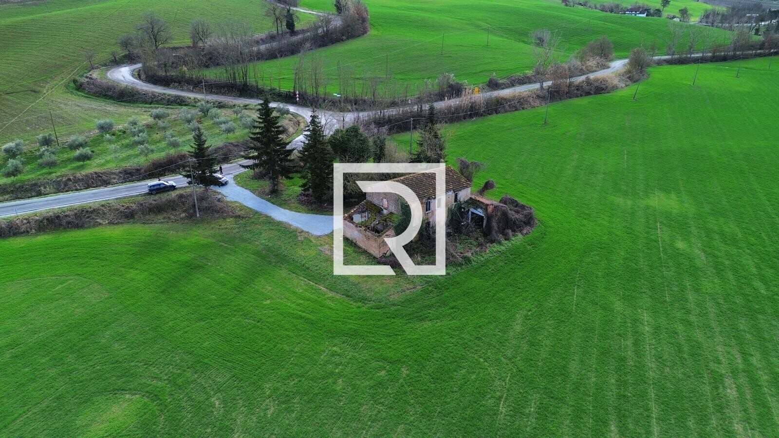 WhatsApp Image 2026-02-17 at 10.59.09 (3)