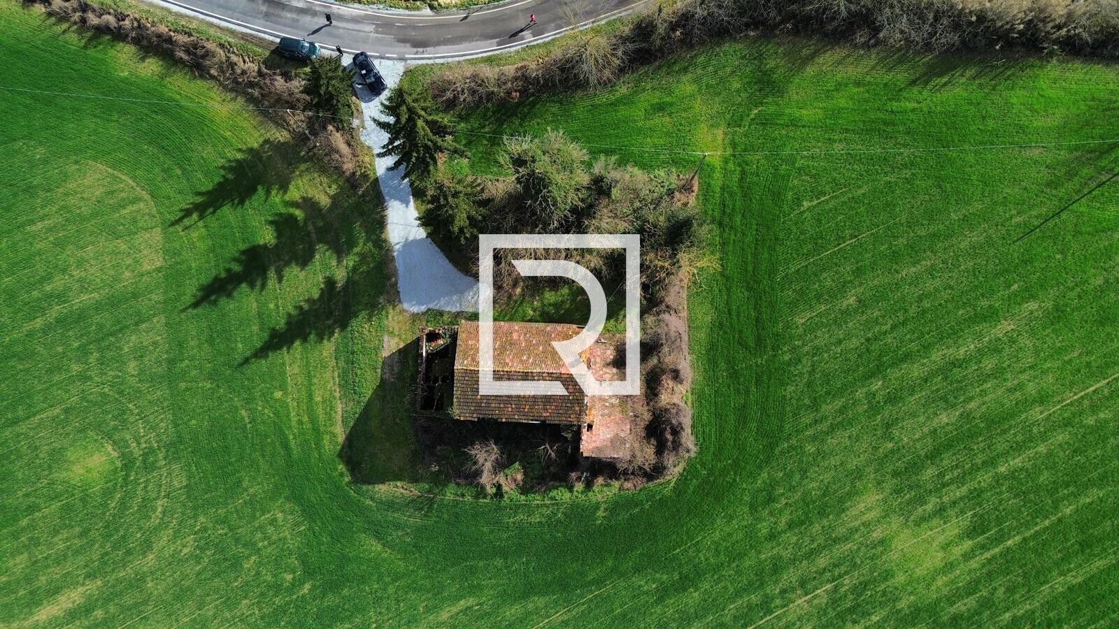 WhatsApp Image 2026-02-17 at 10.59.09