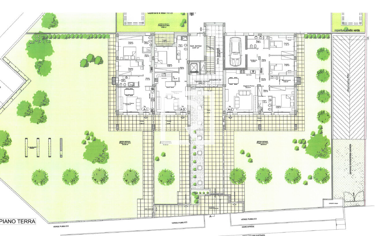 Immagine 2026-02-18 122306