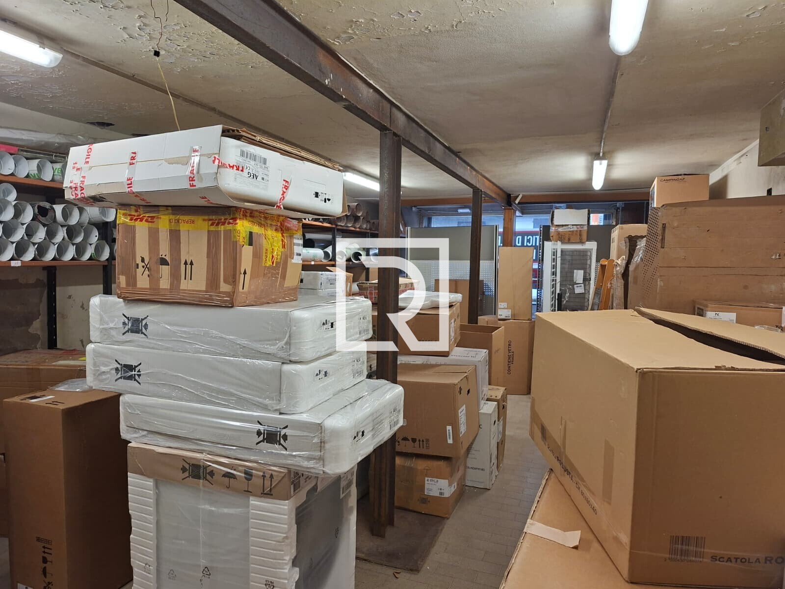 WhatsApp Image 2026-02-17 at 15.54.33 (1)