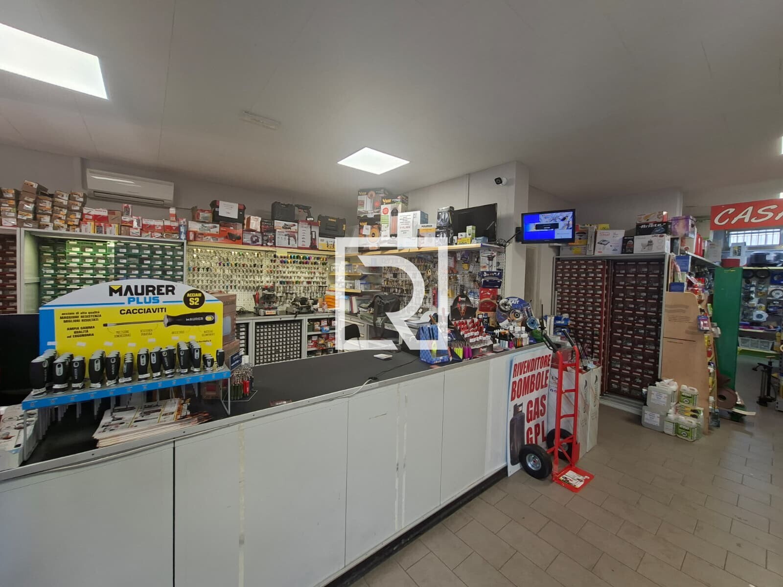 WhatsApp Image 2026-02-17 at 15.54.31