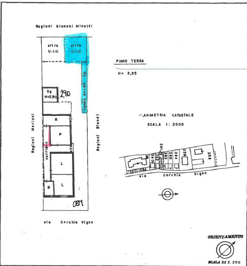 Immagine 2026-02-19 124043