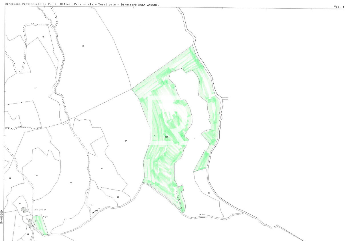 Screenshot 2026-02-19 104411