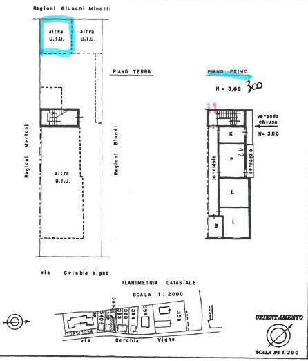 Immagine 2026-02-19 123958