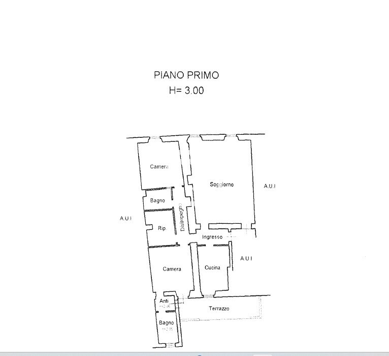 WhatsApp Image 2026-02-19 at 17.39.50