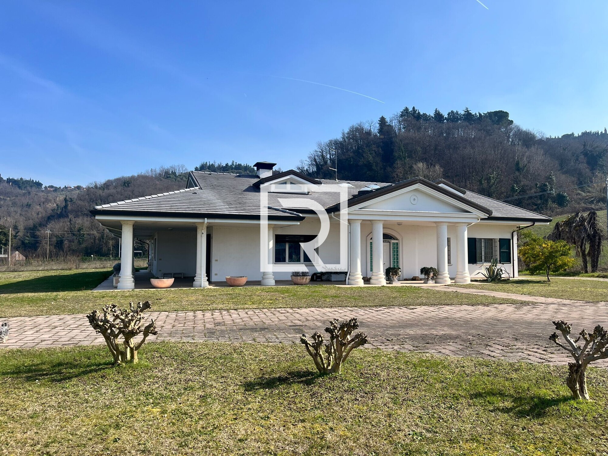 WhatsApp Image 2026-03-02 at 15.29.16