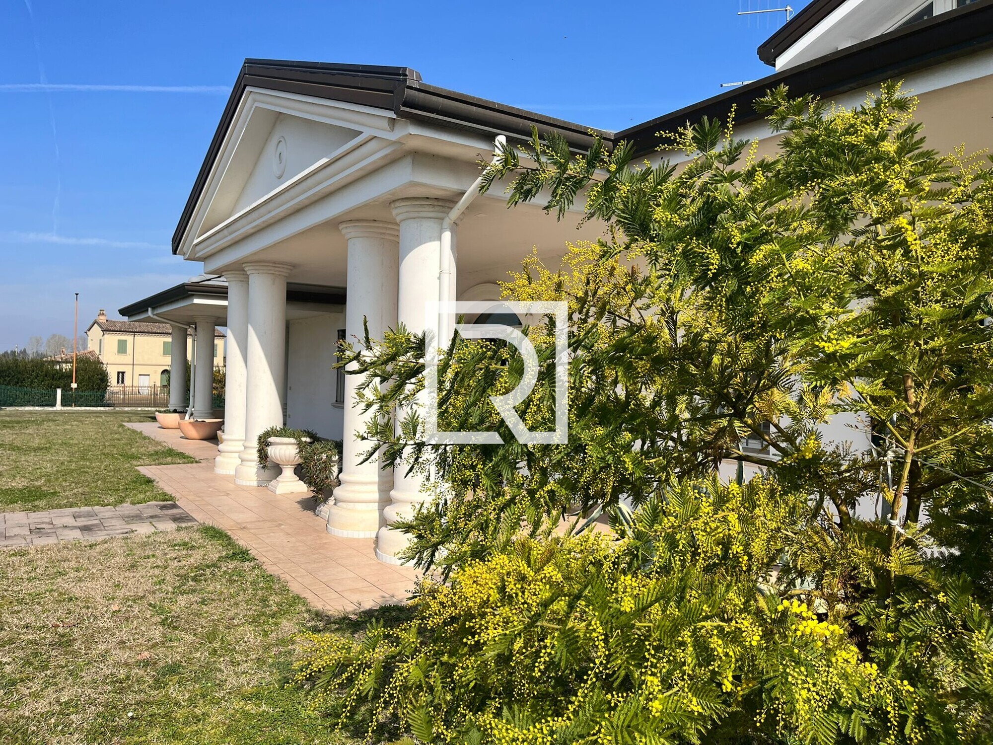 WhatsApp Image 2026-03-02 at 15.29.08