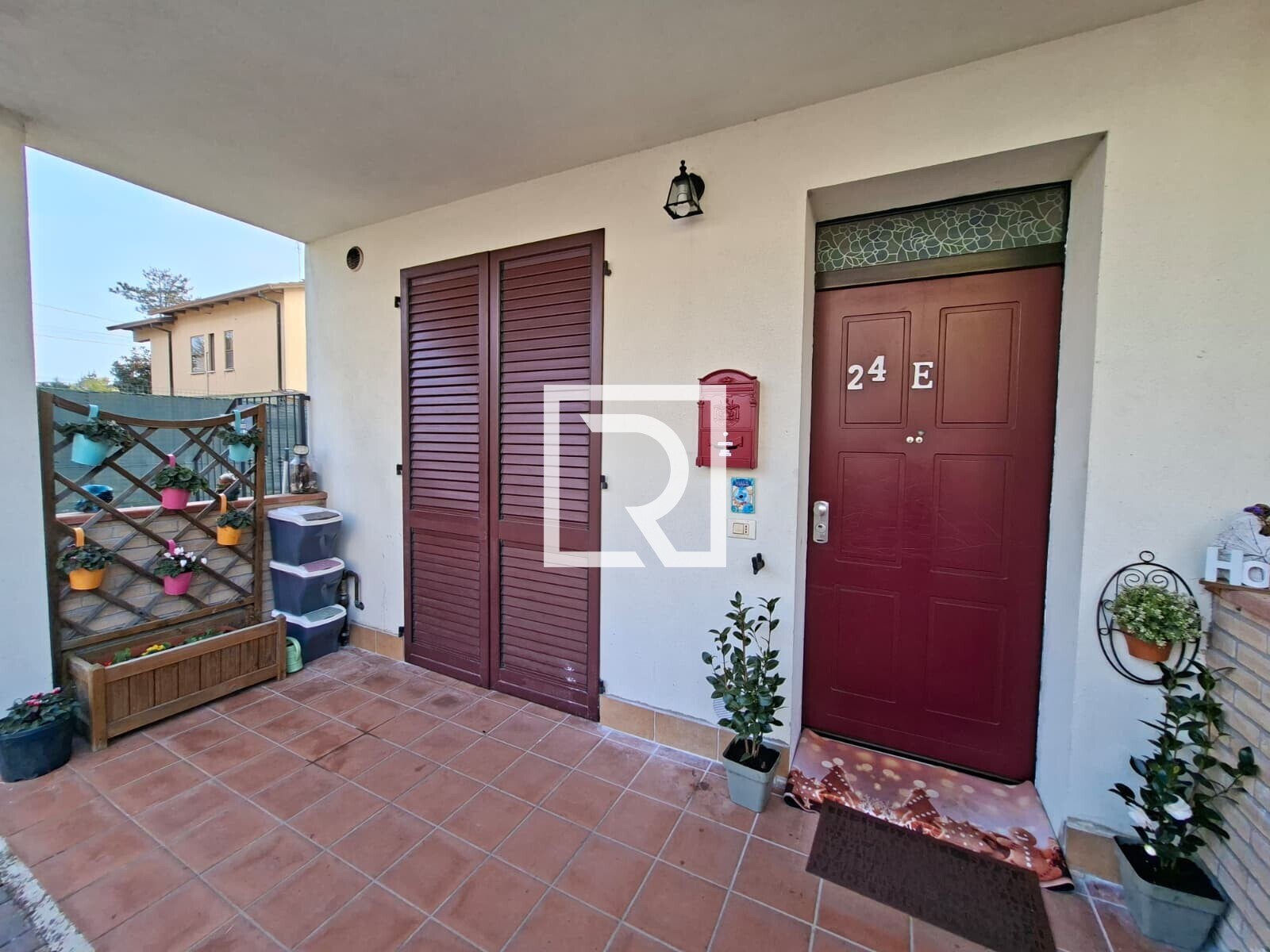 WhatsApp Image 2026-02-24 at 18.26.32