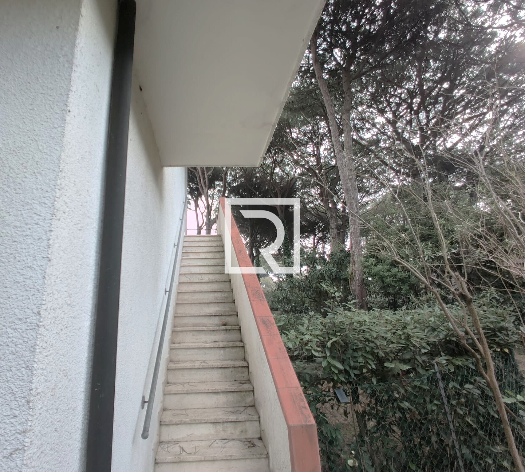 WhatsApp Image 2026-02-24 at 16.23.15 (2)