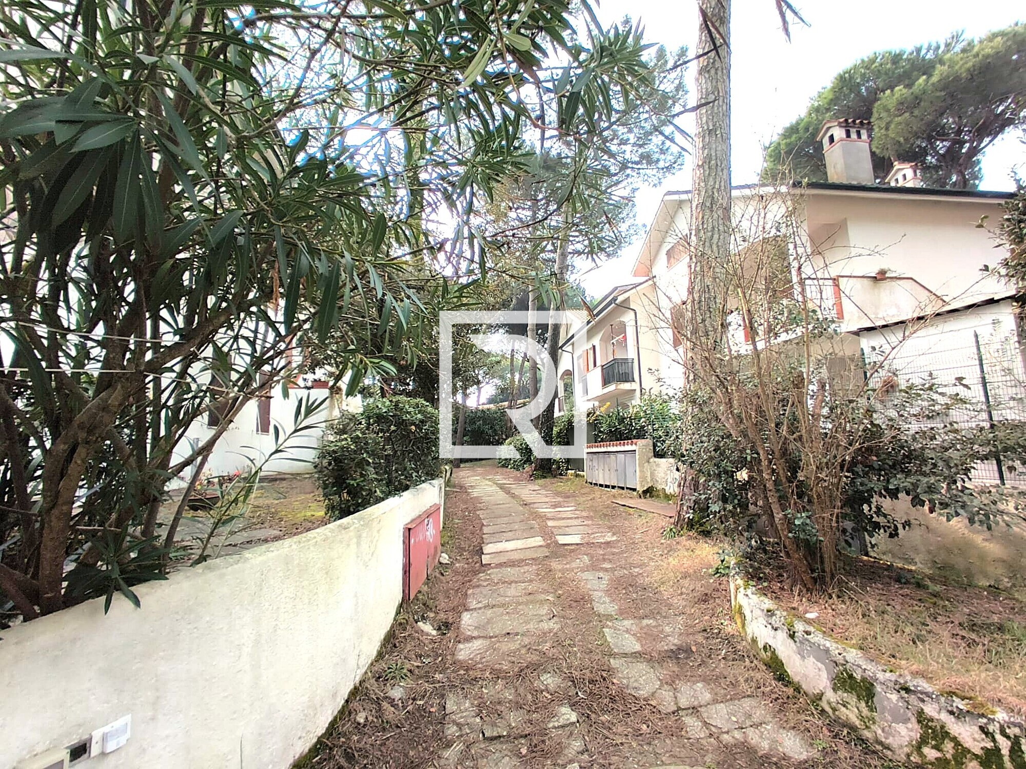 WhatsApp Image 2026-02-24 at 16.23.17 (4)