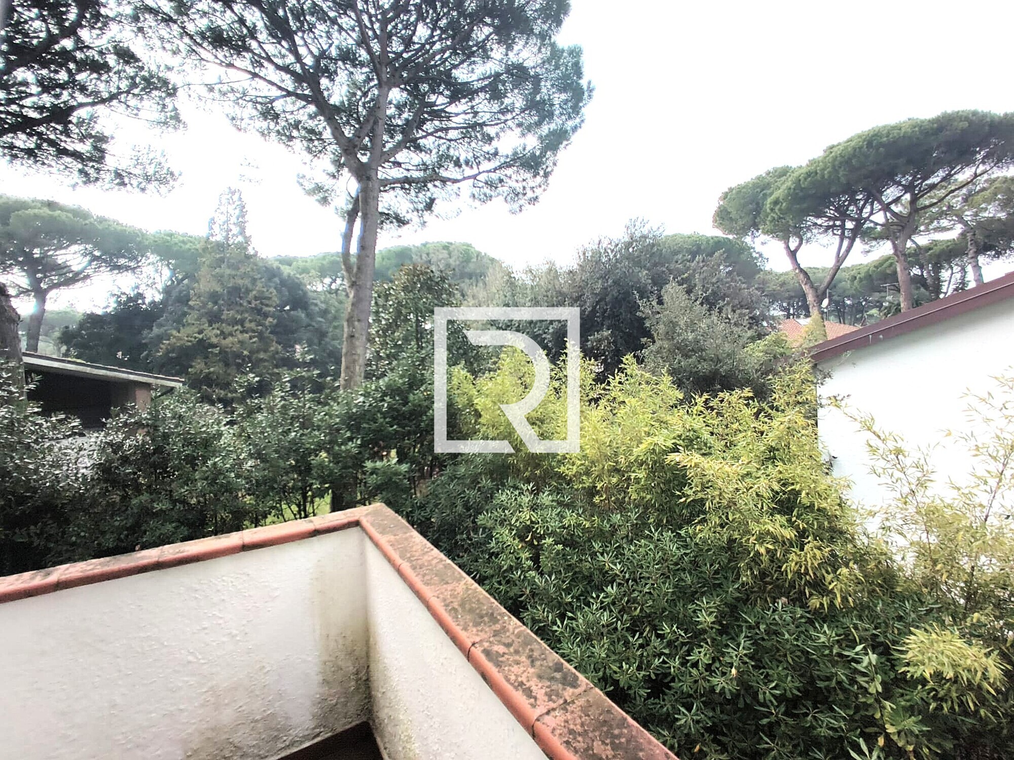 WhatsApp Image 2026-02-24 at 16.23.16 (3)