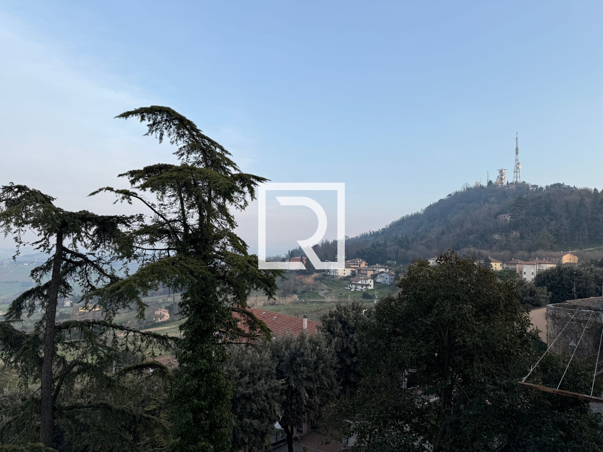 WhatsApp Image 2026-02-24 at 17.43.16 (1)