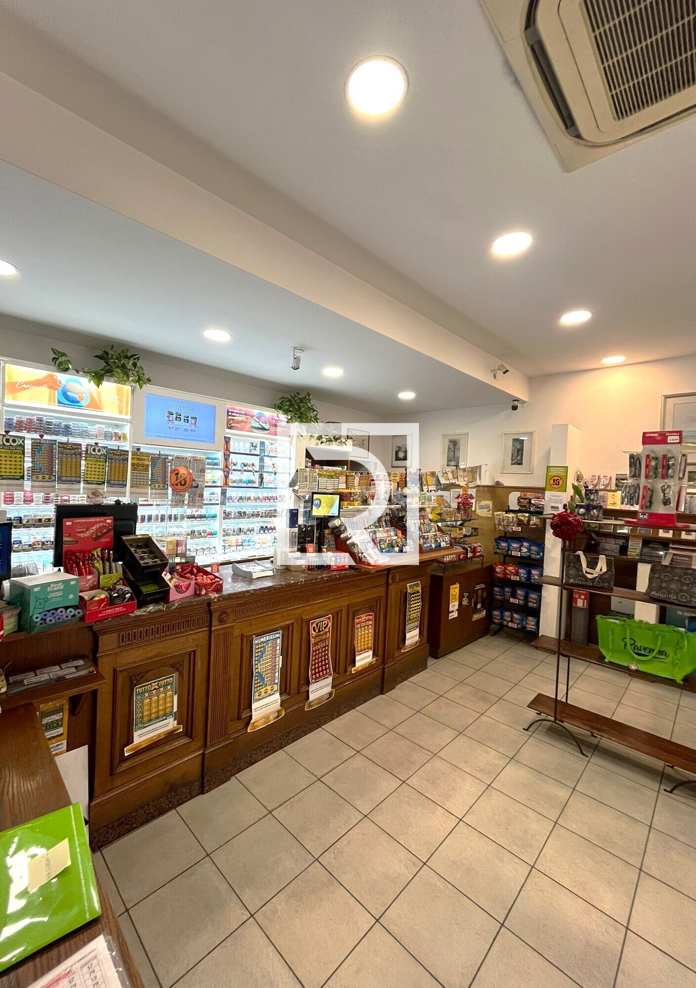 WhatsApp Image 2026-02-25 at 18.44.12 (6)