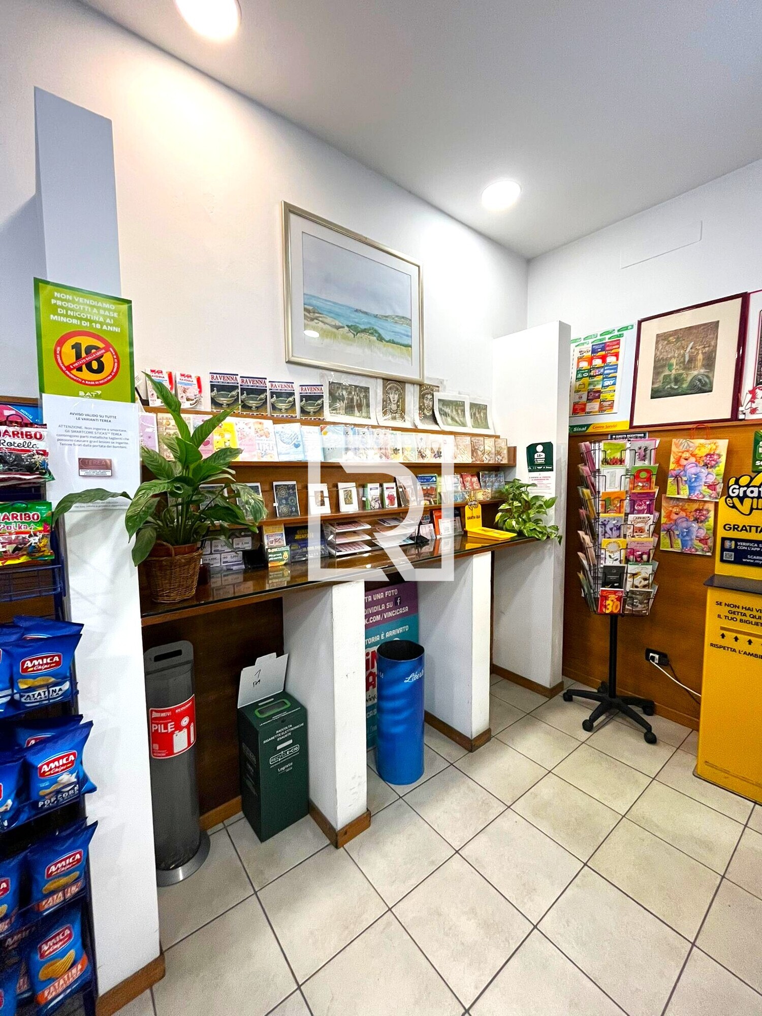 WhatsApp Image 2026-02-25 at 18.44.10 (9)