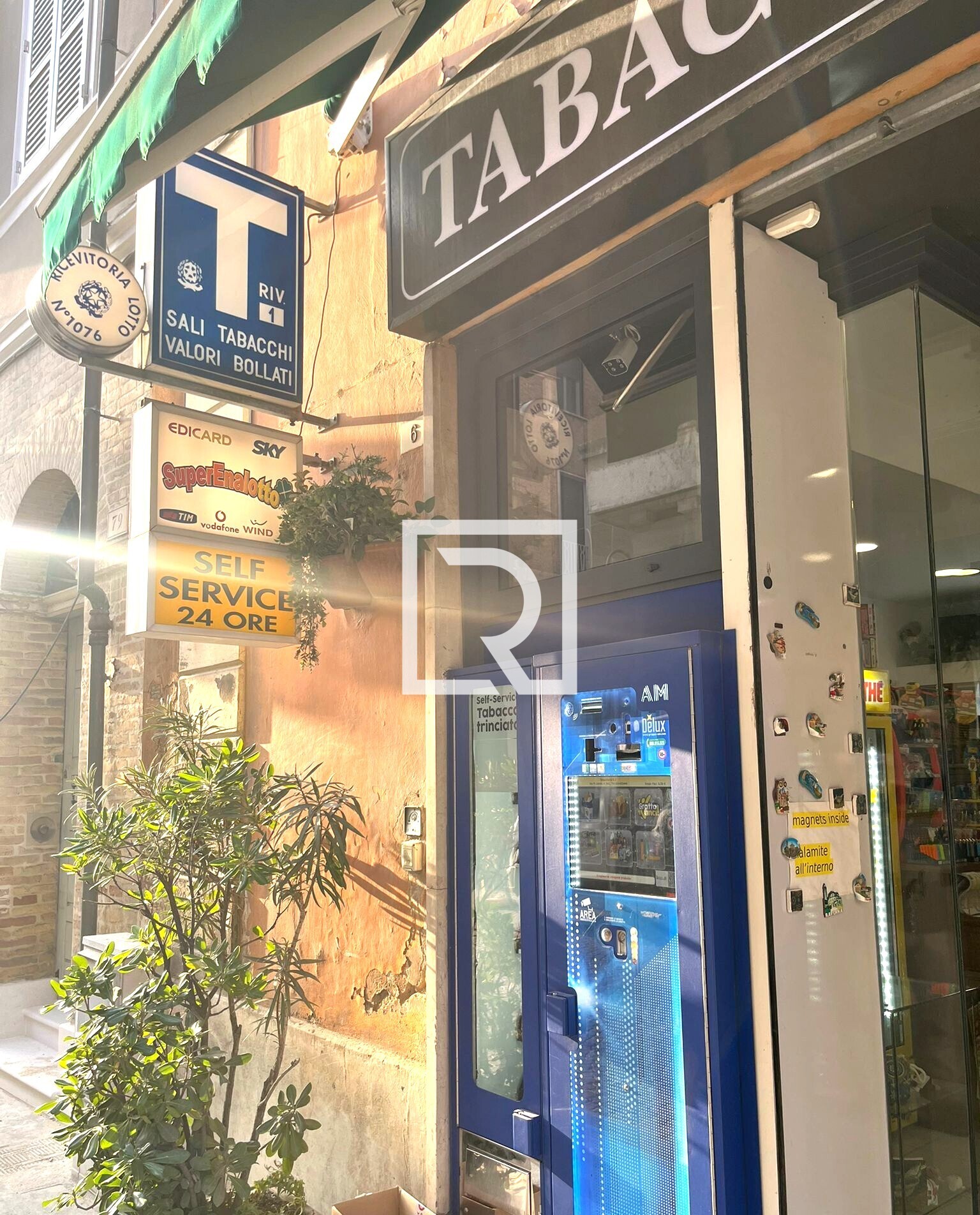 WhatsApp Image 2026-02-25 at 18.44.10 (5)