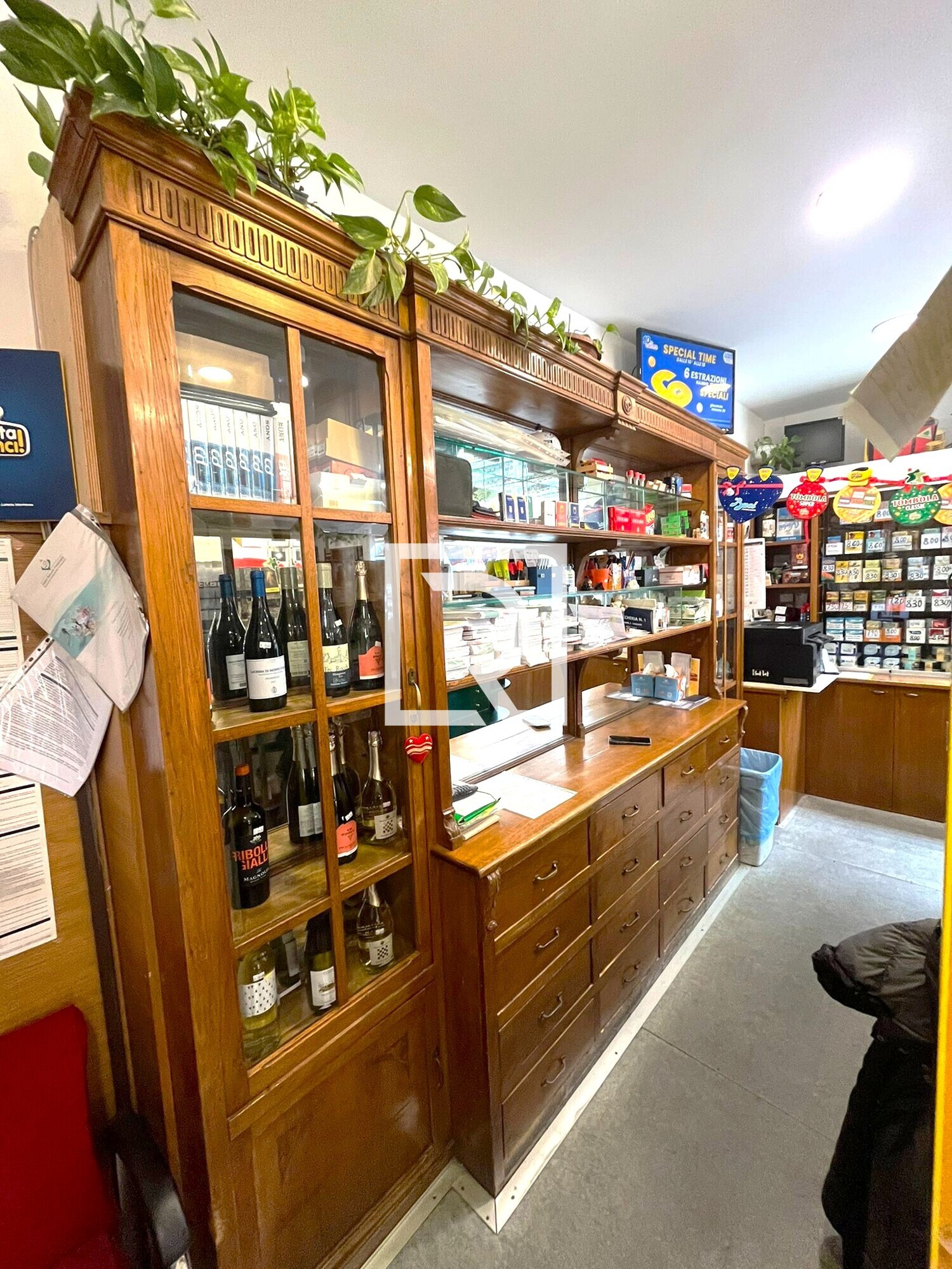 WhatsApp Image 2026-02-25 at 18.44.11 (4)