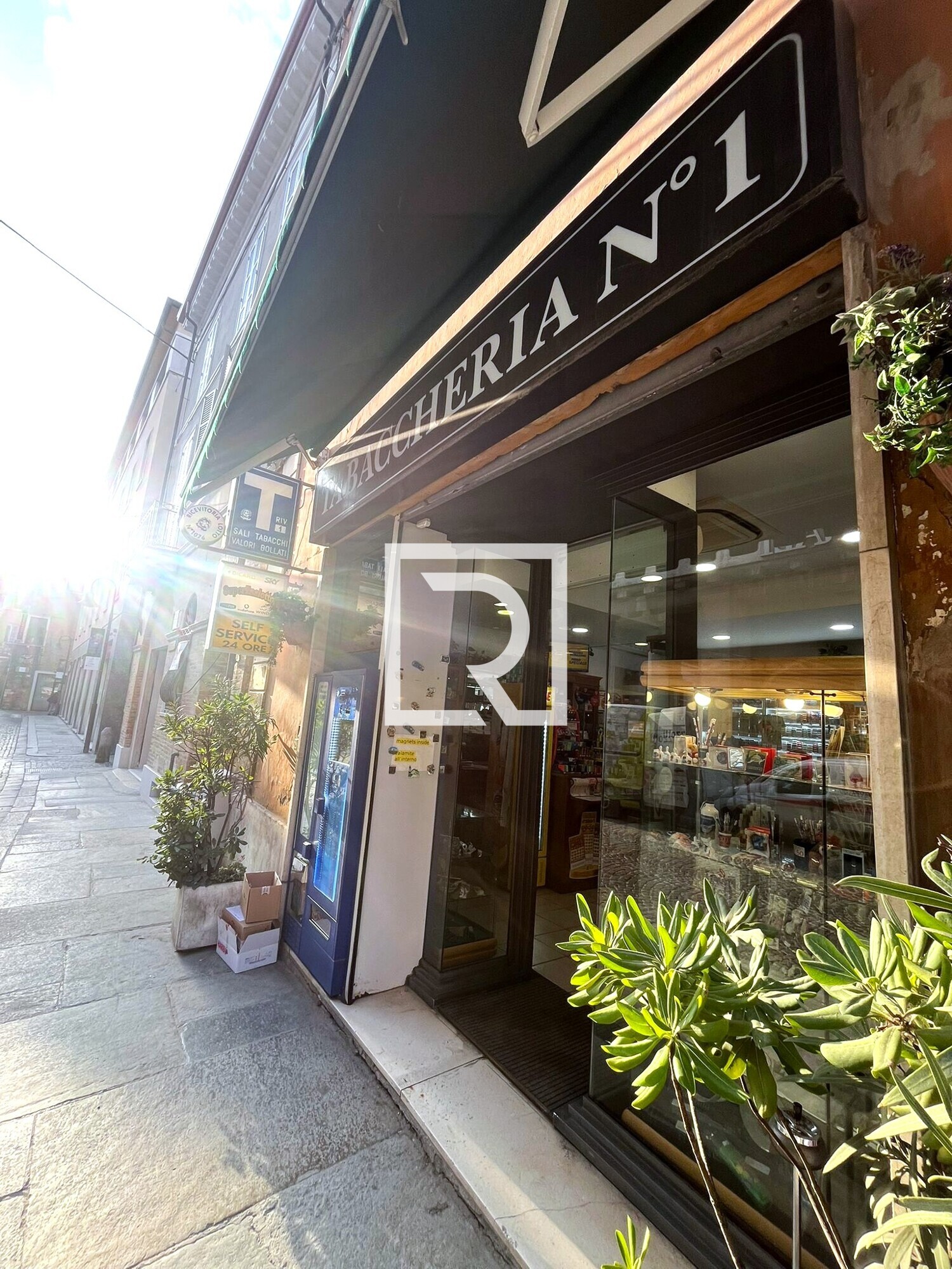 WhatsApp Image 2026-02-25 at 18.44.11