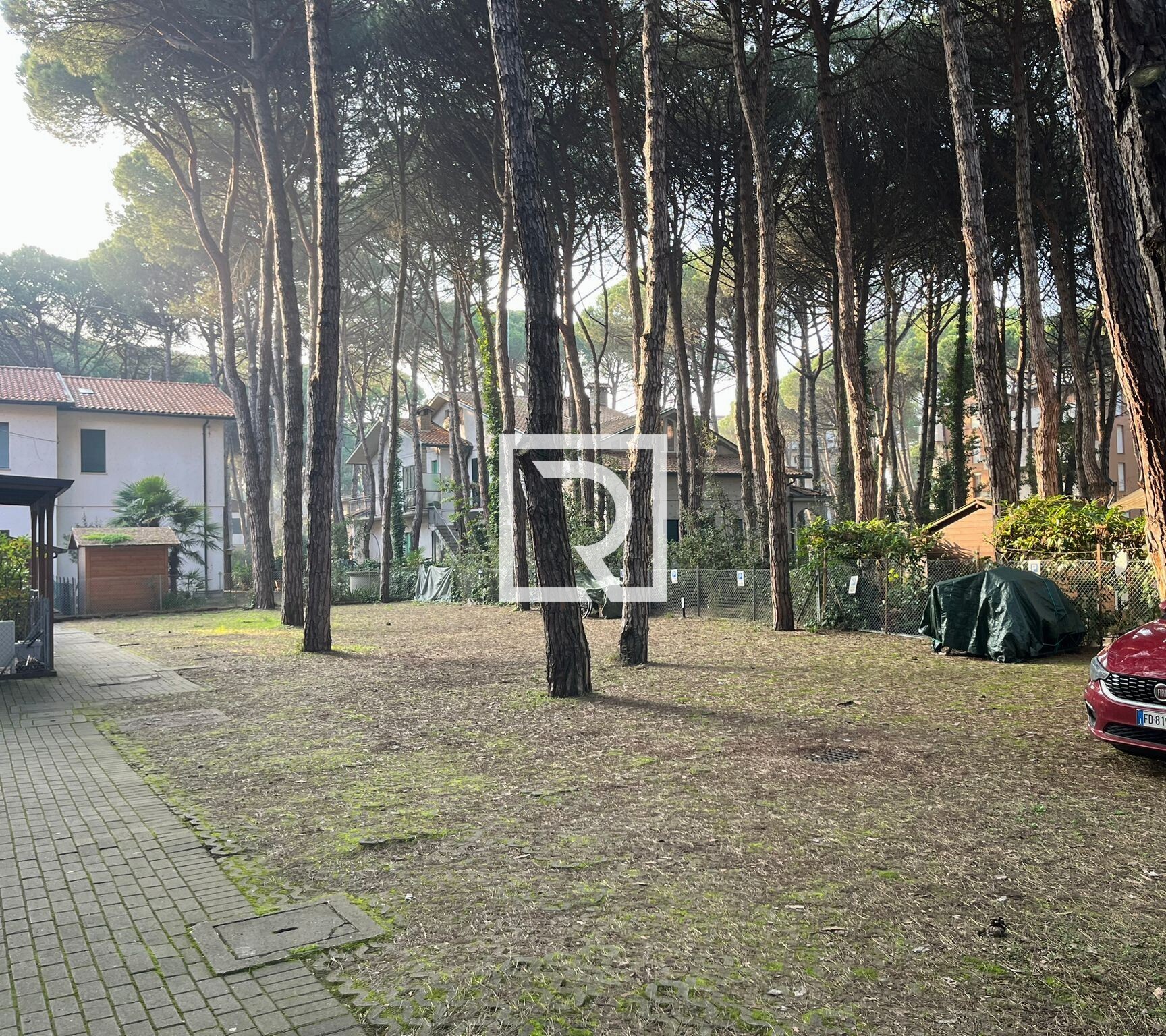 WhatsApp Image 2026-02-27 at 08.31.05