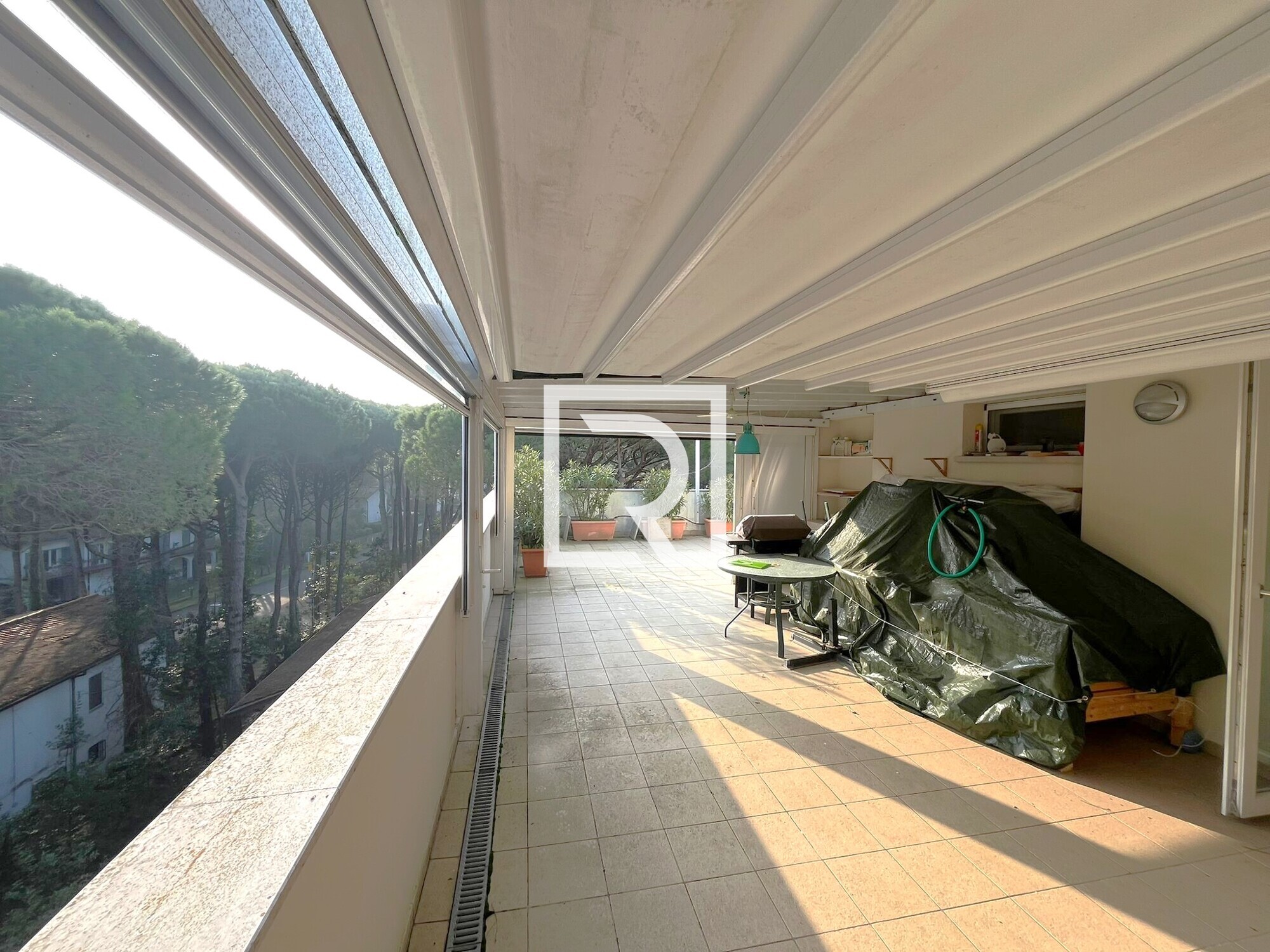 WhatsApp Image 2026-02-27 at 08.31.11 (4)