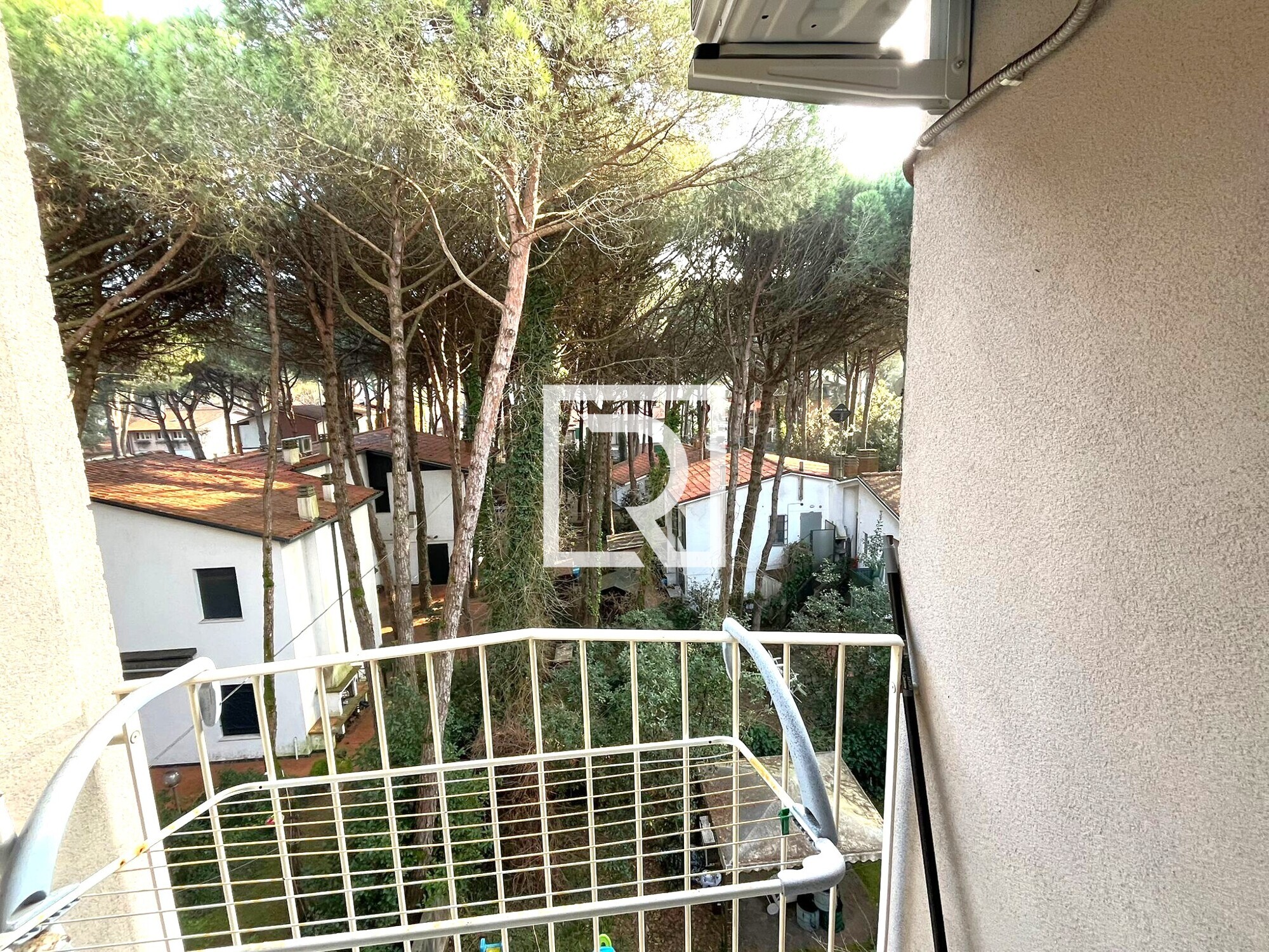 WhatsApp Image 2026-02-27 at 08.31.07