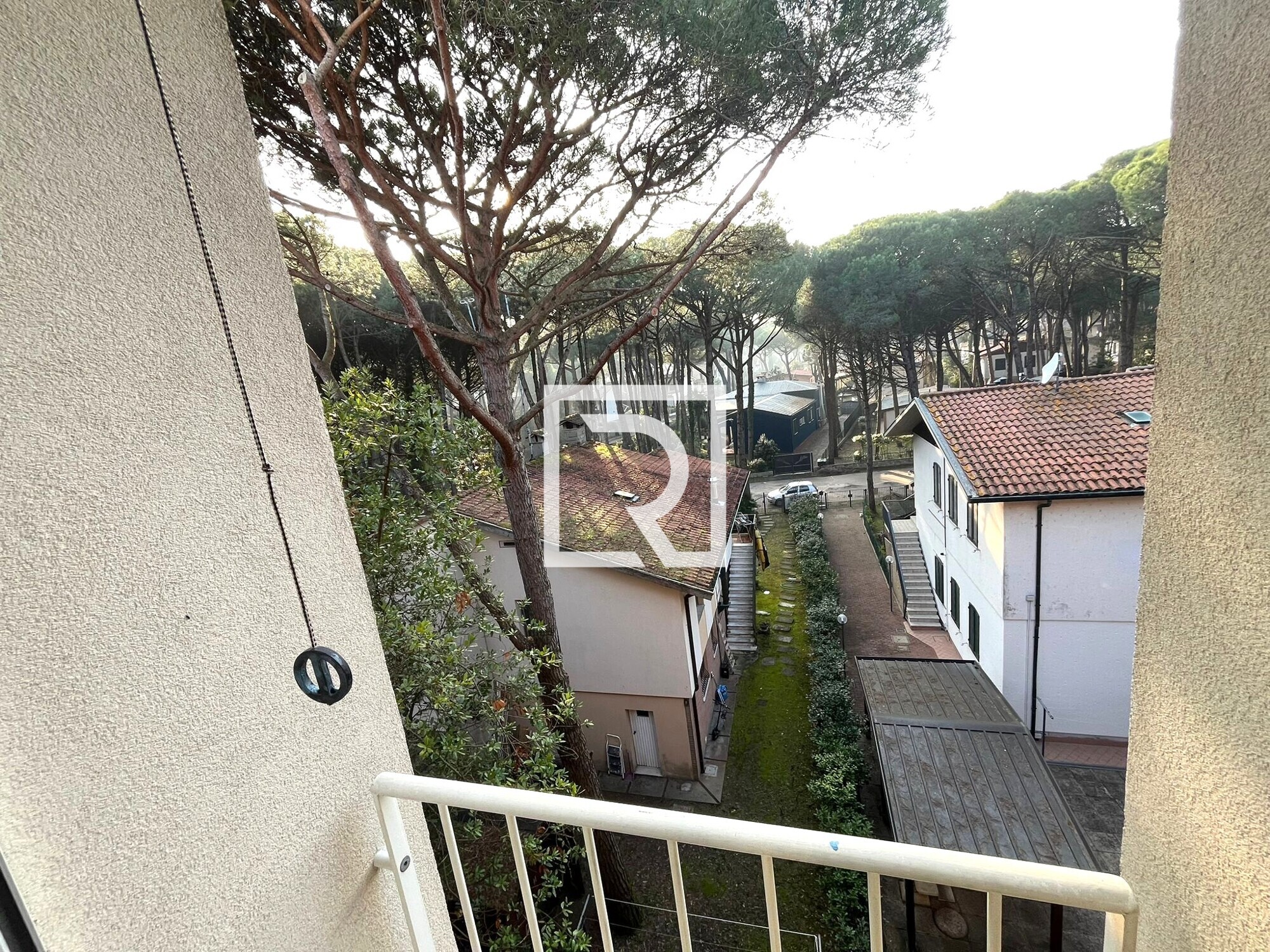 WhatsApp Image 2026-02-27 at 08.31.08 (2)