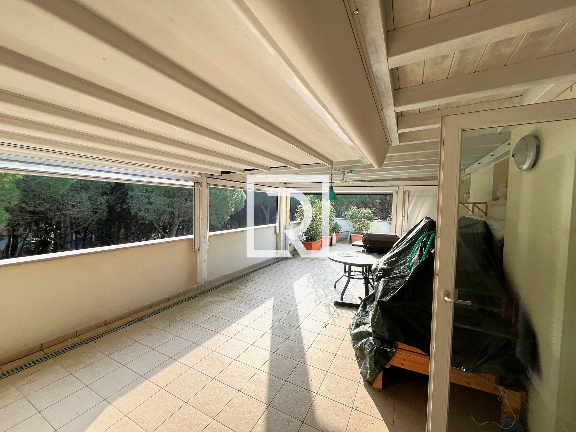 WhatsApp Image 2026-02-27 at 08.31.11 (2)