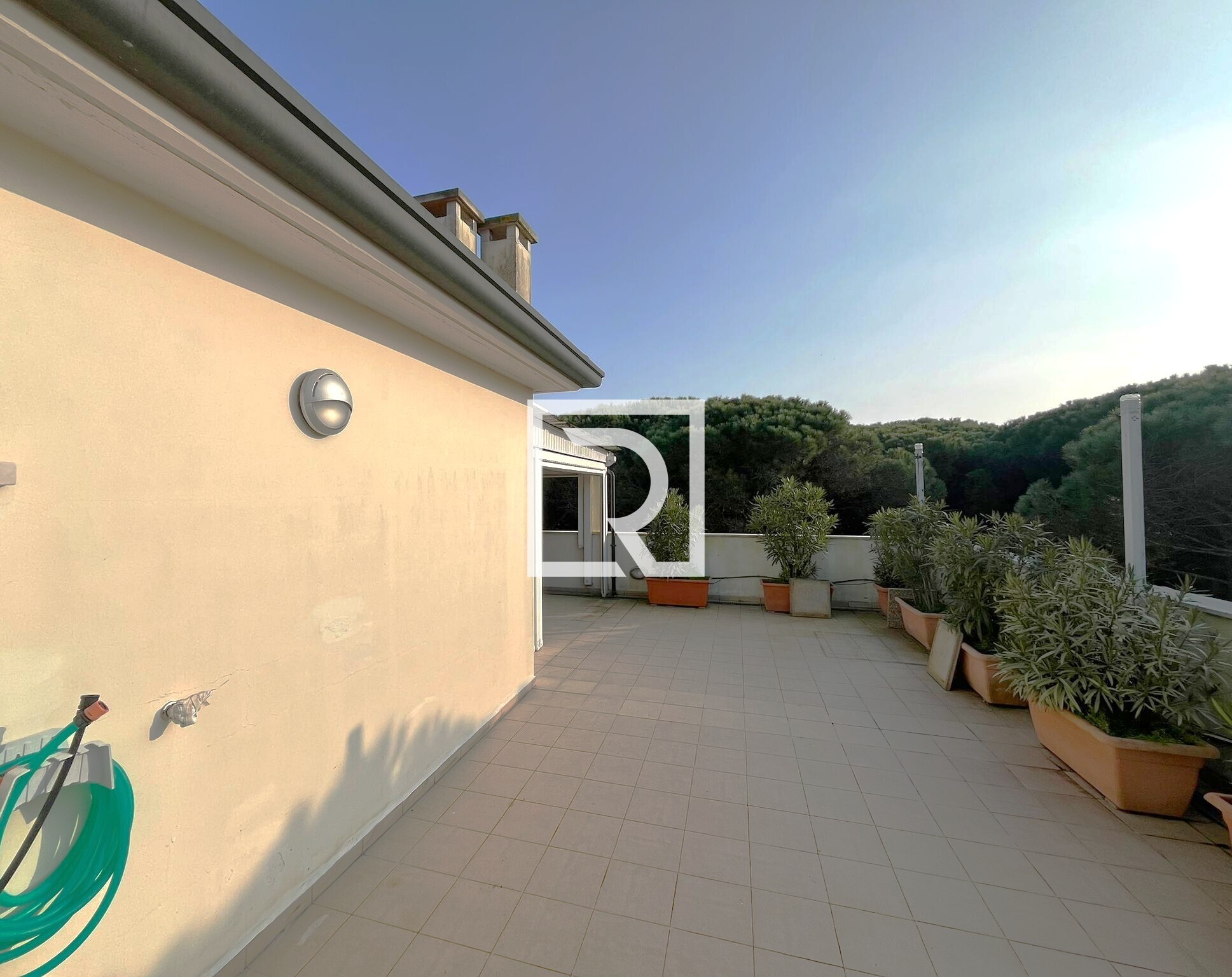 WhatsApp Image 2026-02-27 at 08.31.11 (3)