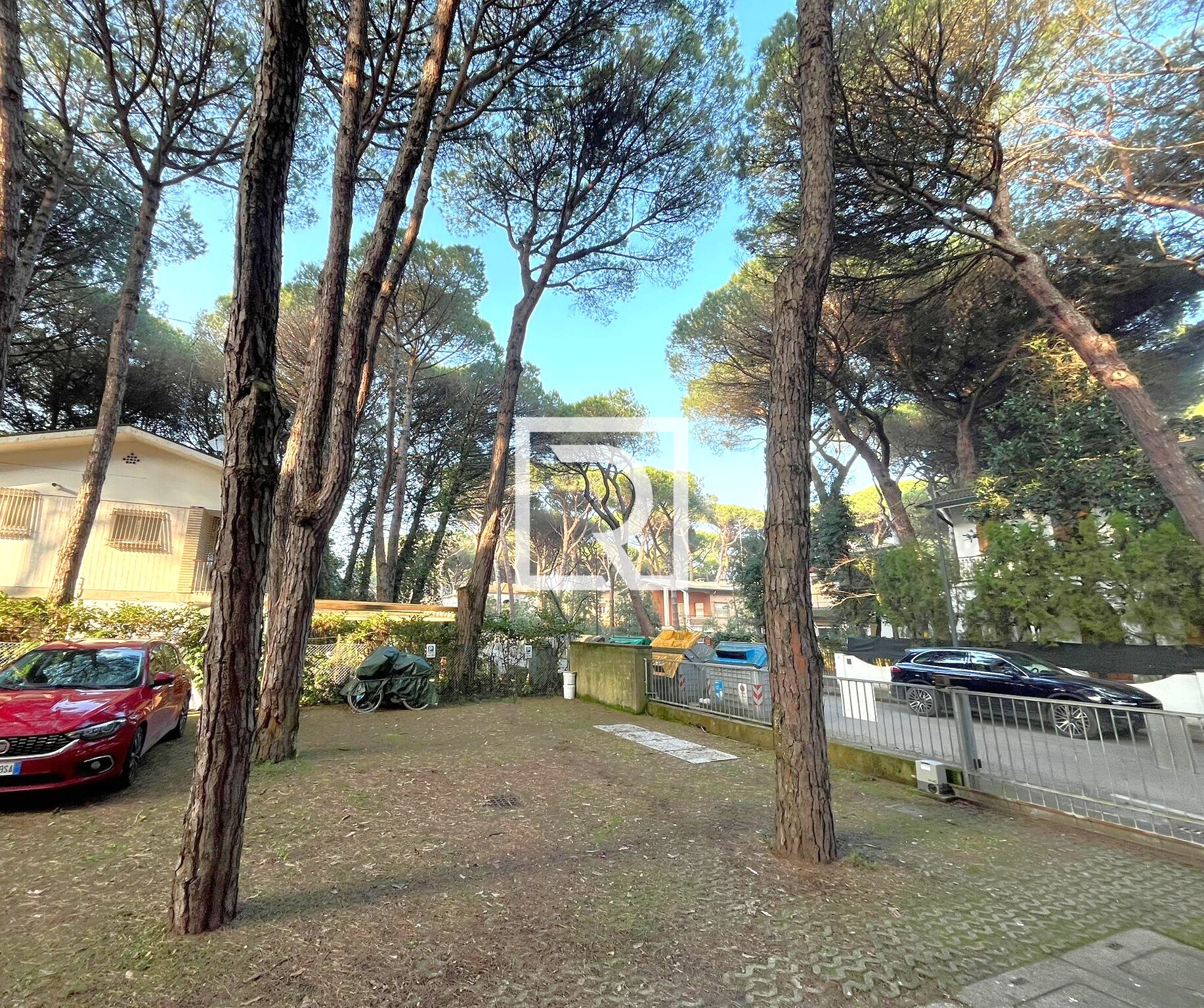 WhatsApp Image 2026-02-27 at 08.31.05 (2)