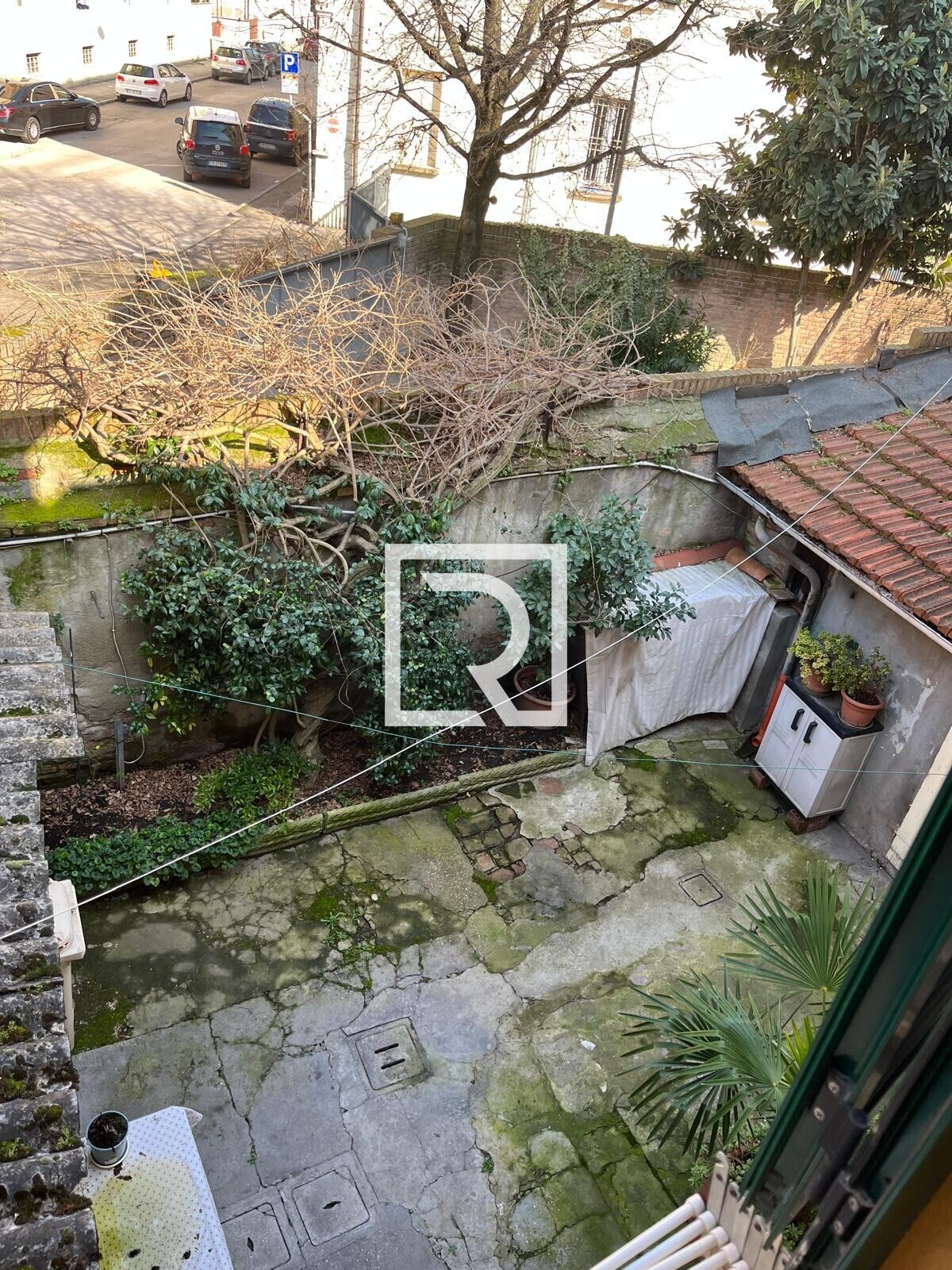 WhatsApp Image 2026-03-03 at 12.50.50 (11)