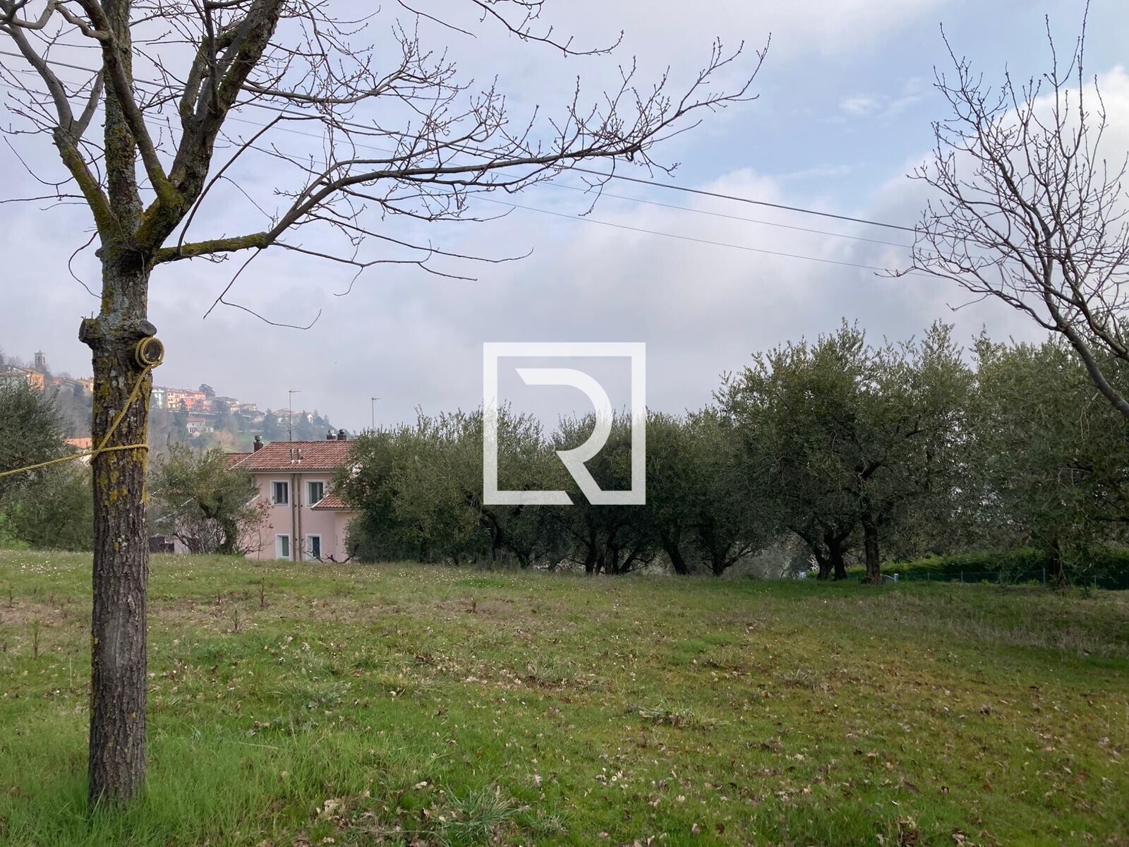 WhatsApp Image 2026-03-03 at 12.33.07 (4)