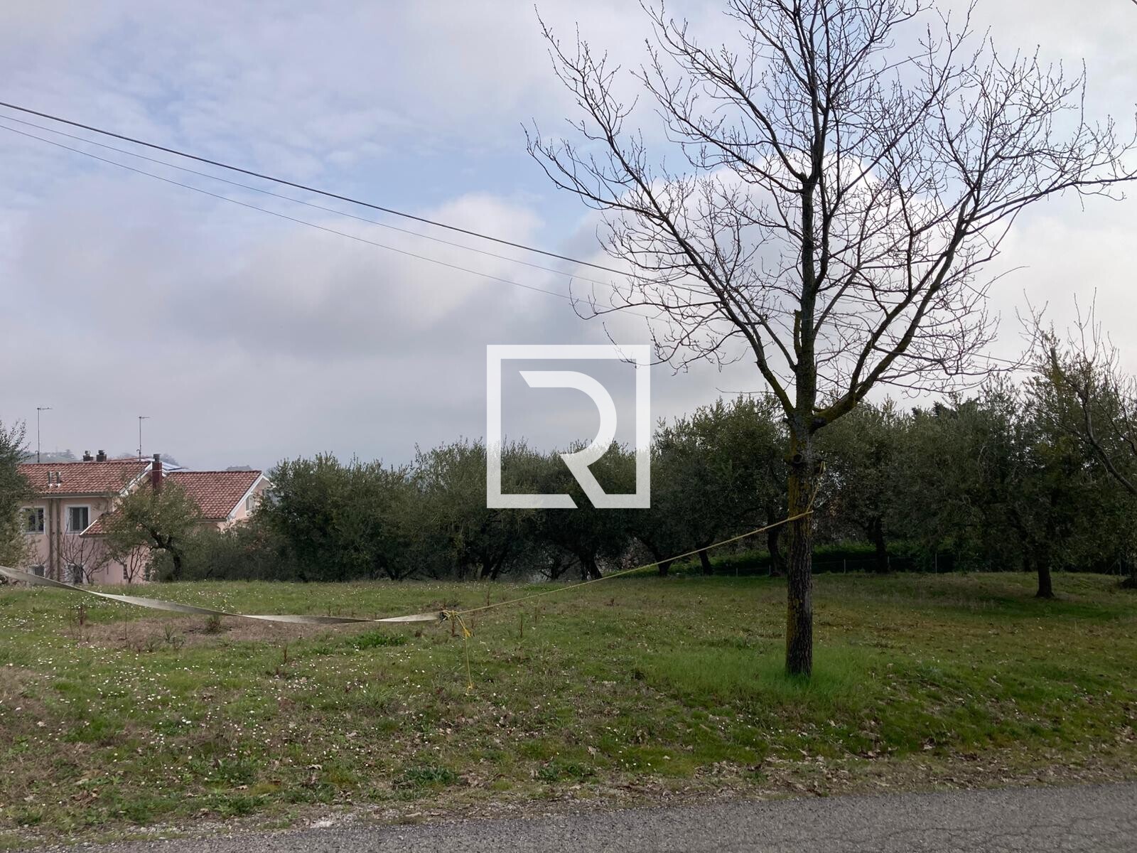 WhatsApp Image 2026-03-03 at 12.33.07 (1)