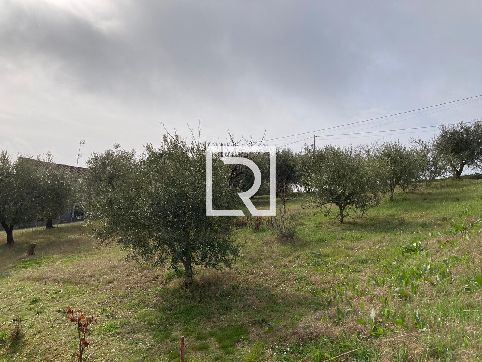 WhatsApp Image 2026-03-03 at 12.32.54 (2)