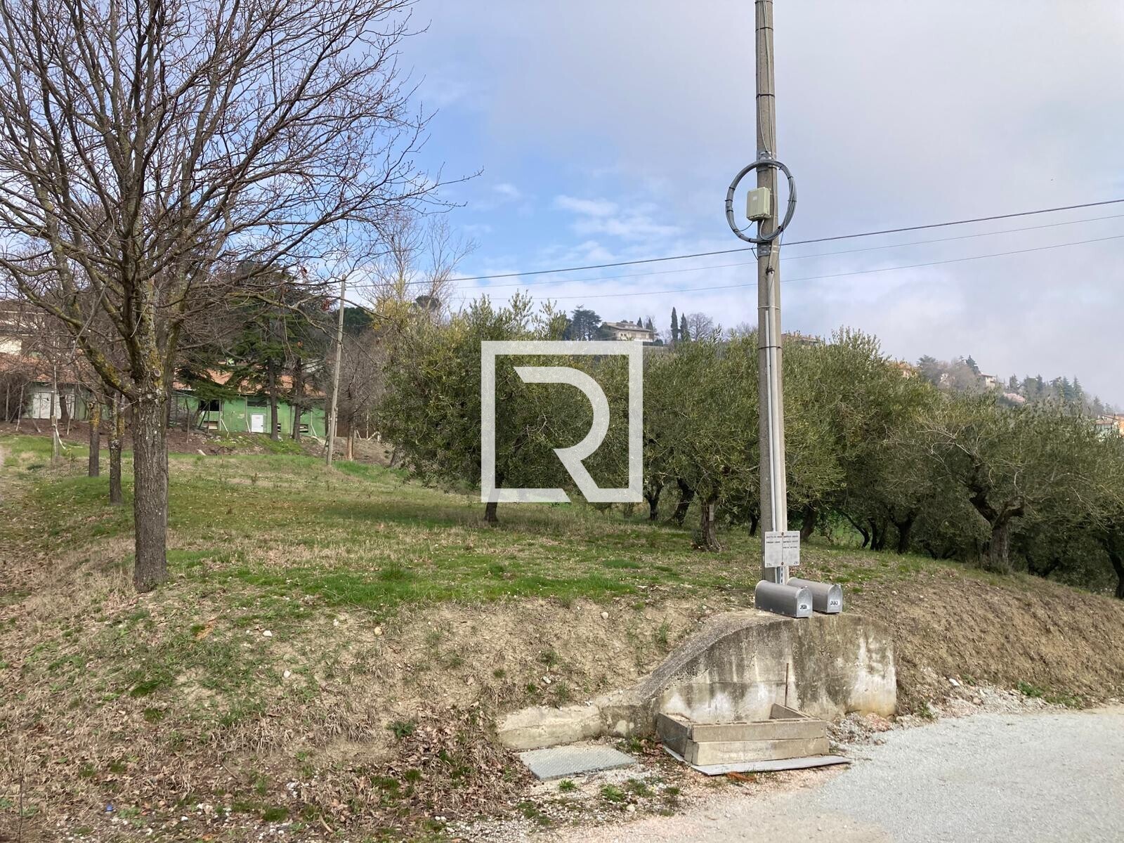 WhatsApp Image 2026-03-03 at 12.33.06