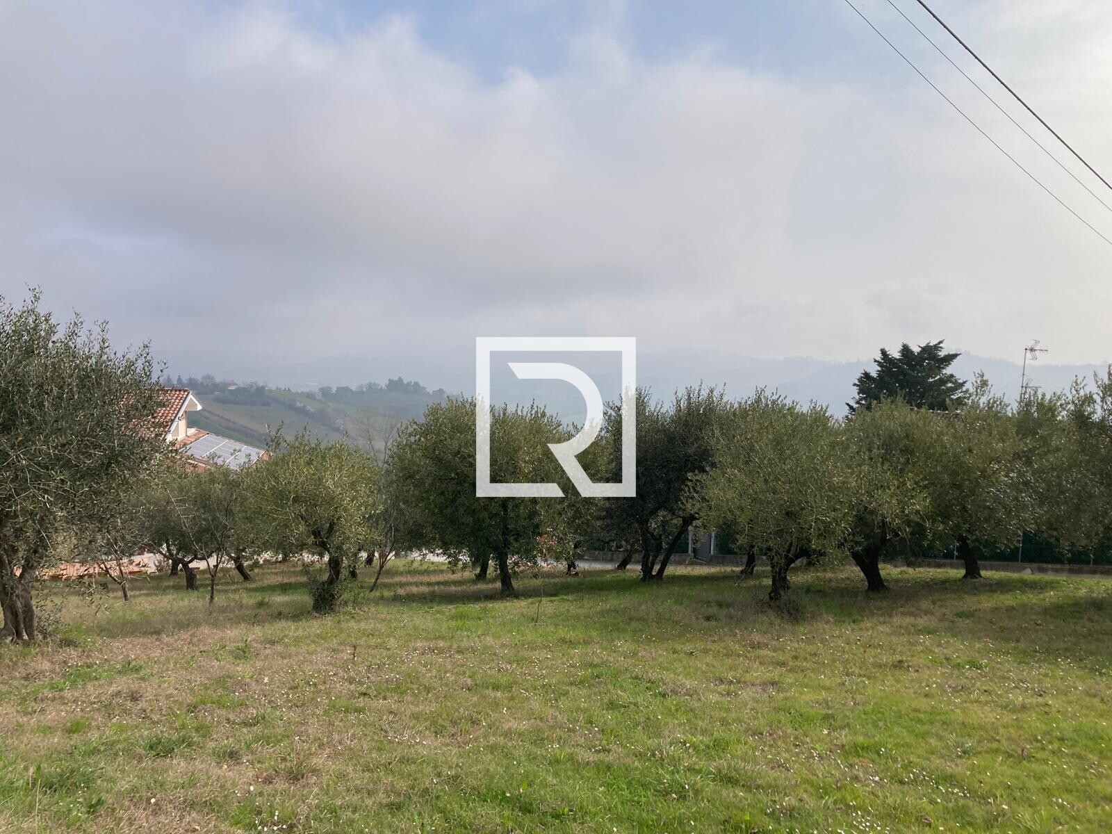 WhatsApp Image 2026-03-03 at 12.32.54 (1)