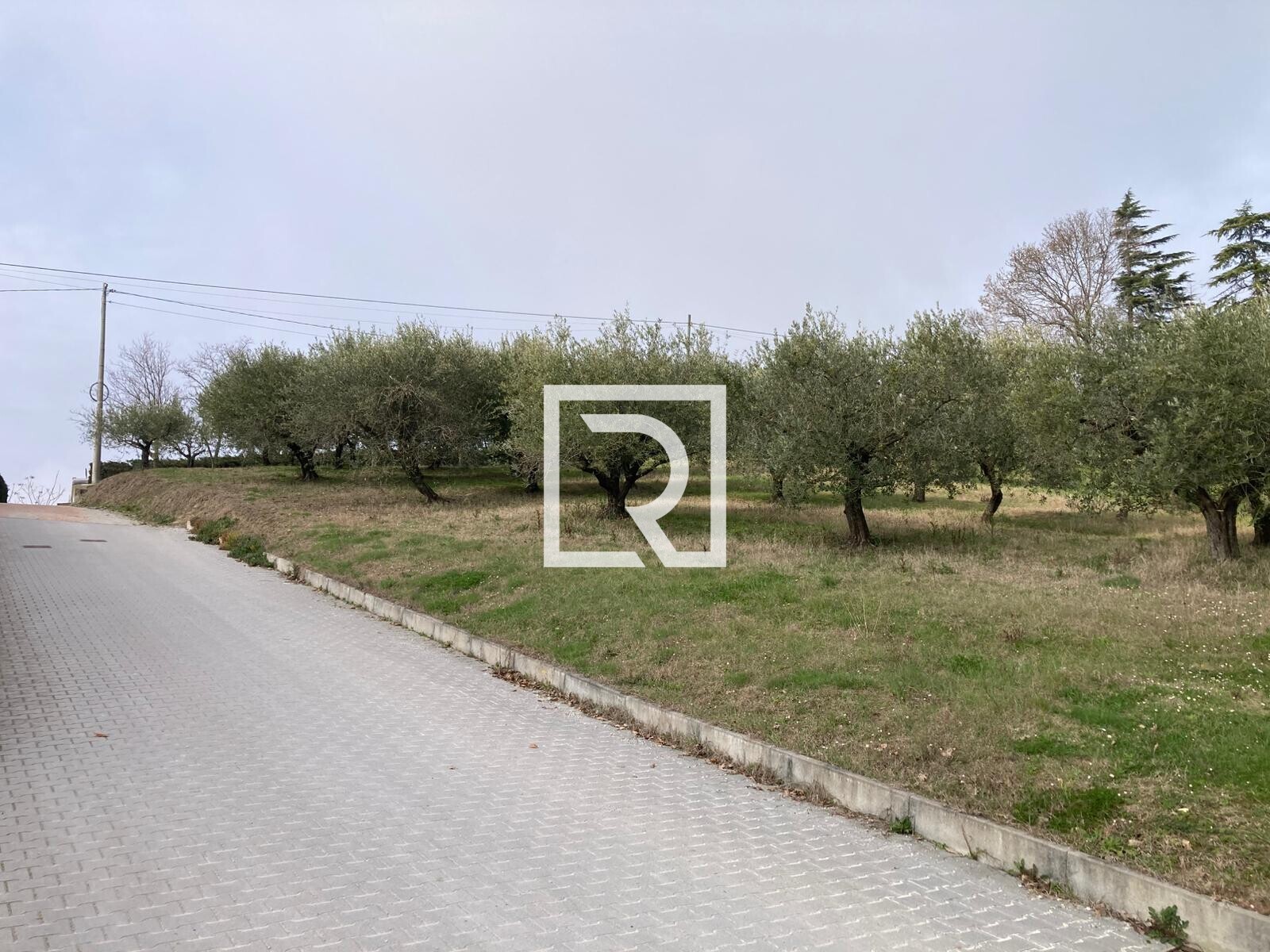 WhatsApp Image 2026-03-03 at 12.32.55 (1)