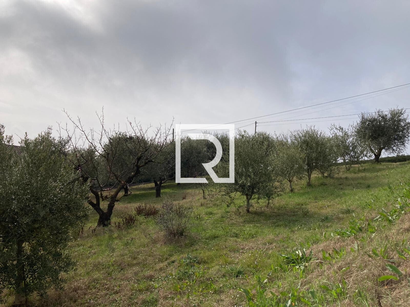 WhatsApp Image 2026-03-03 at 12.32.55