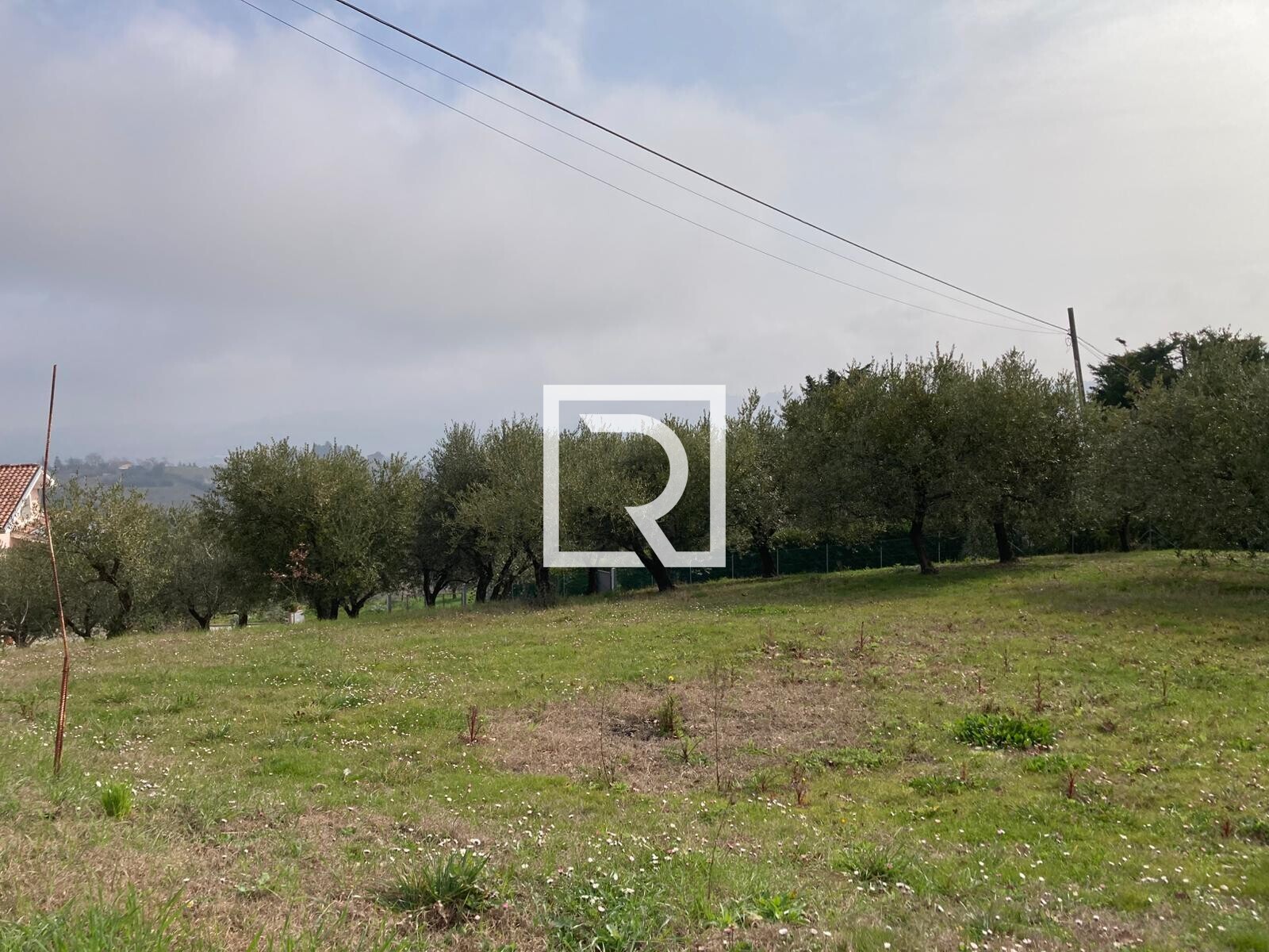 WhatsApp Image 2026-03-03 at 12.32.54