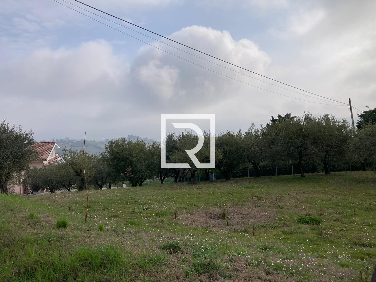 WhatsApp Image 2026-03-03 at 12.33.07 (3)