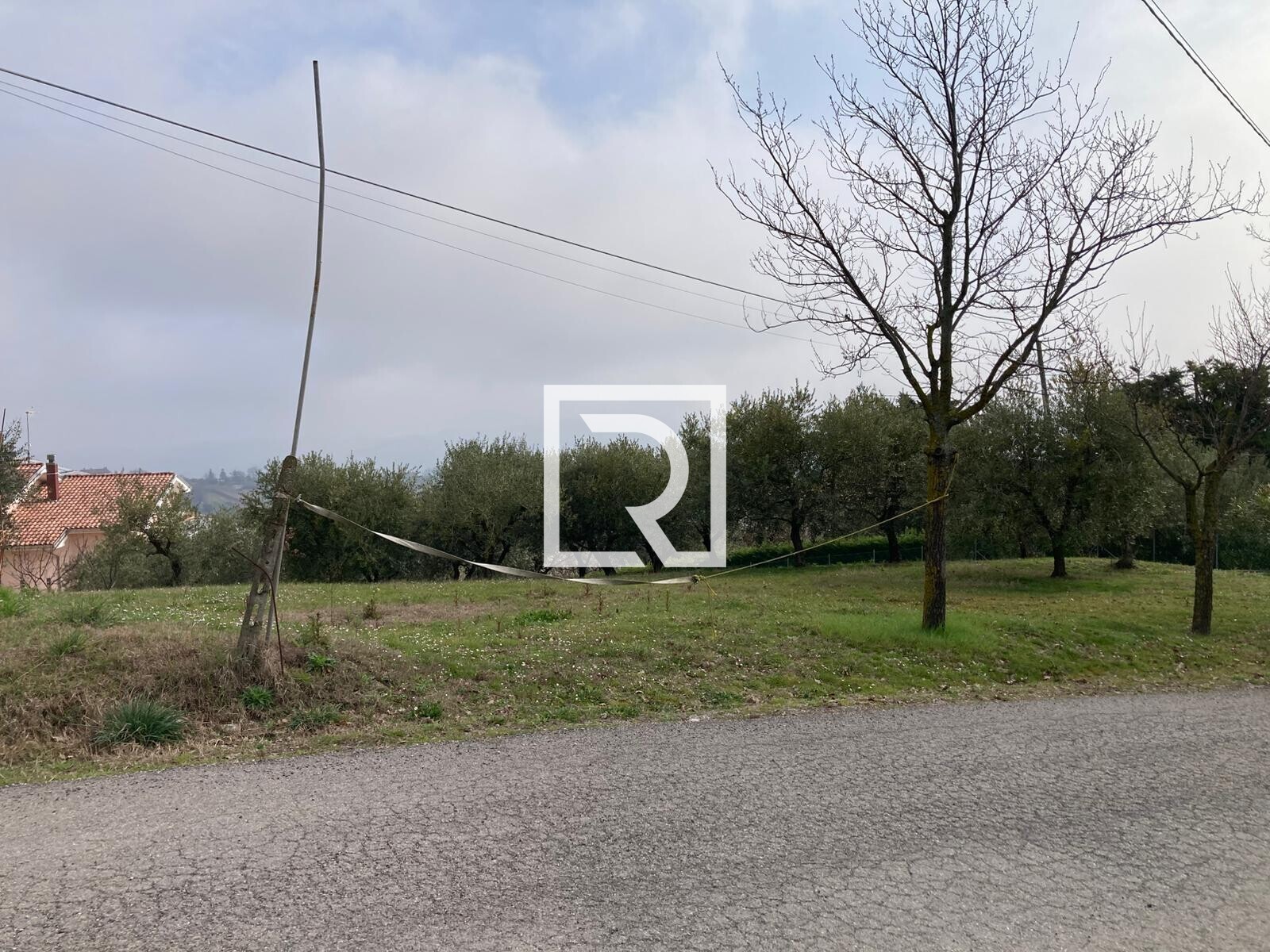 WhatsApp Image 2026-03-03 at 12.32.53