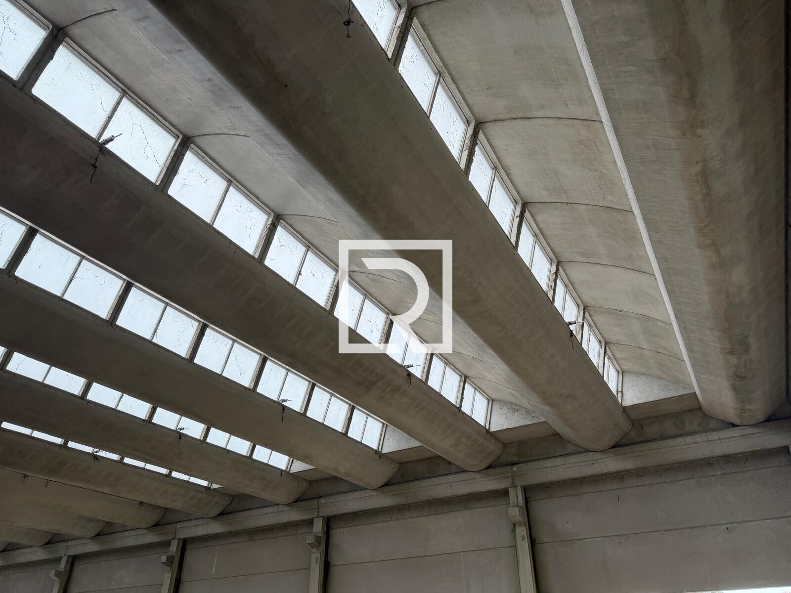 PHOTO-2026-03-03-12-32-04 (25)